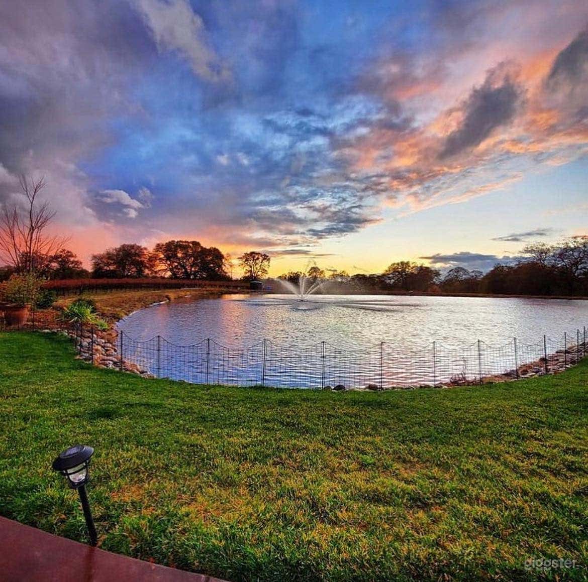 Stunning Vineyard and Event Venue in Lincoln, CA Photo 1