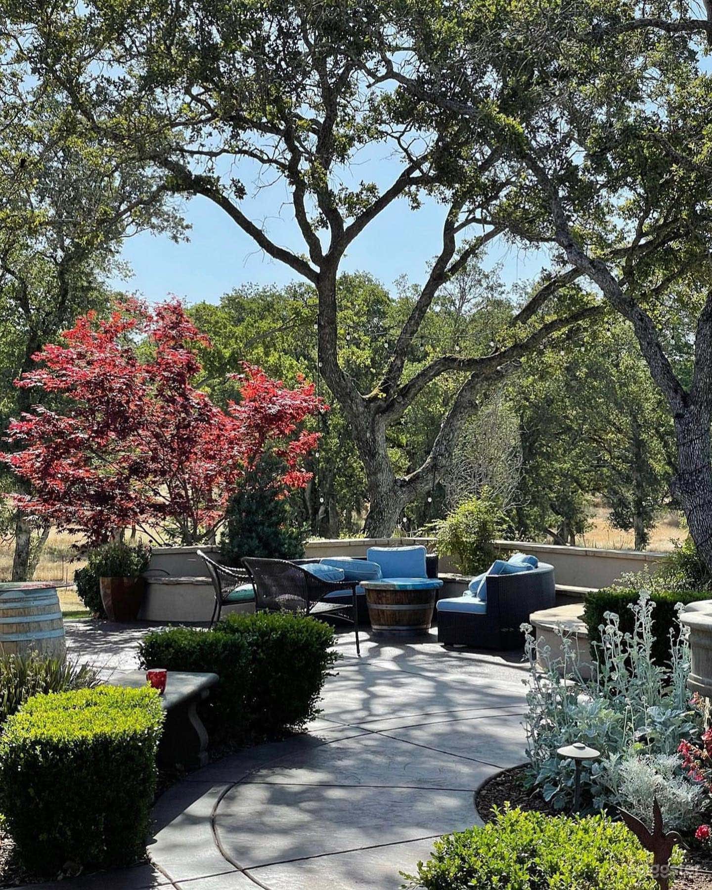 Stunning Vineyard and Event Venue in Lincoln, CA Photo 2