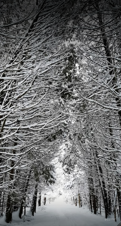 Beautiful Mountain with Great View for Events in Barrie Photo 4