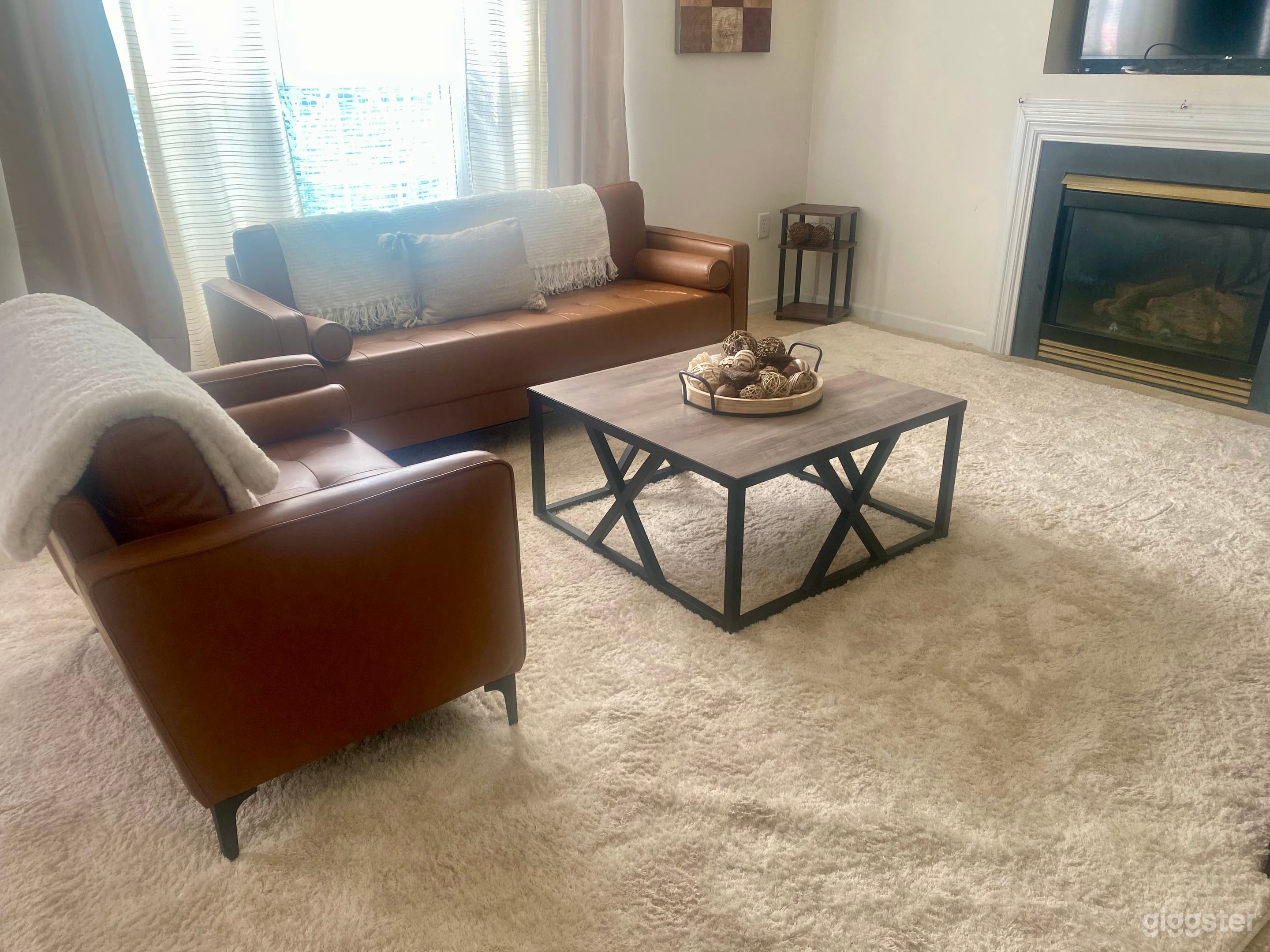 Warm, Modern Living Room with Natural Light Photo 4