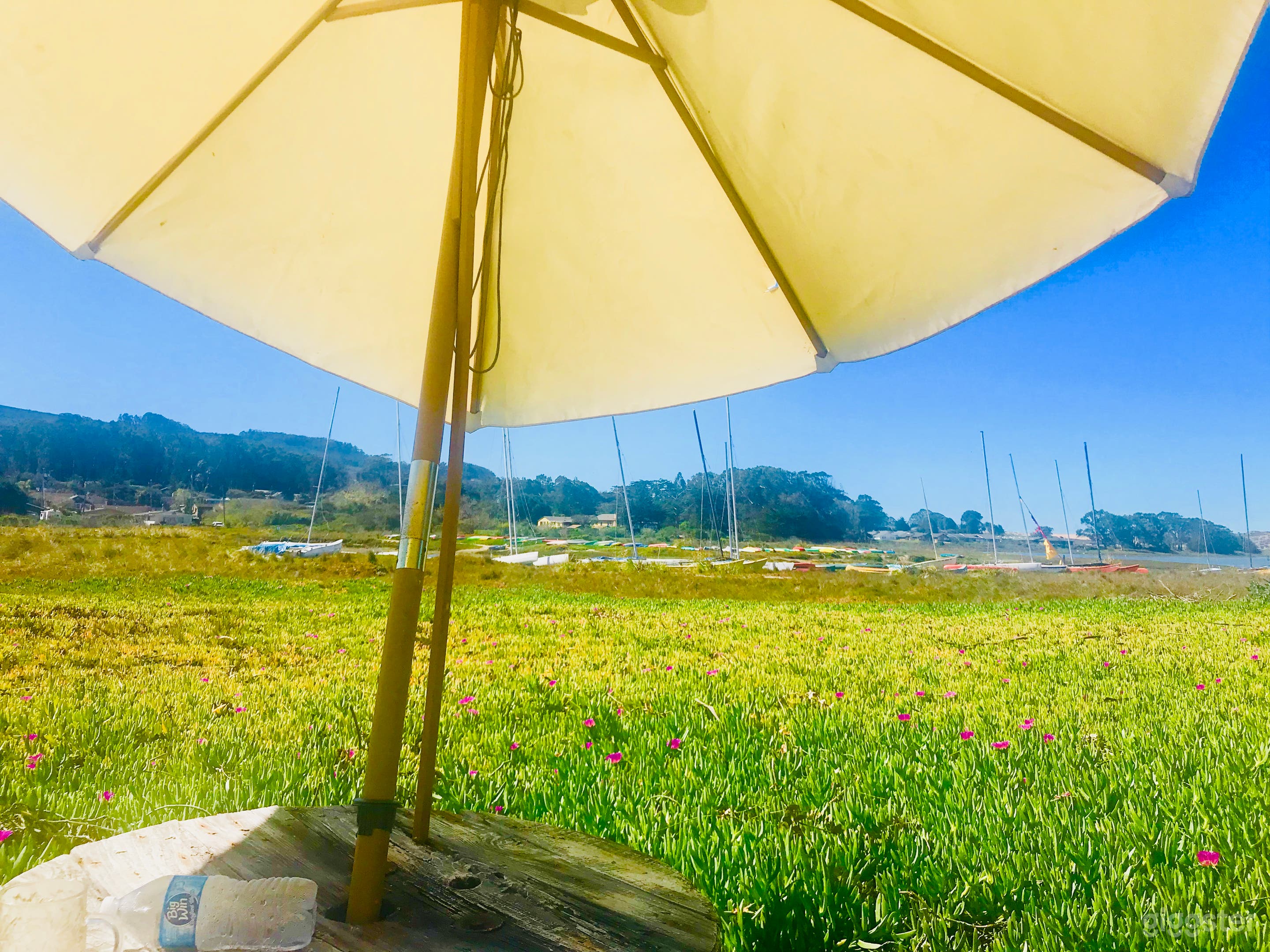 The Dream Cottage Photo 4