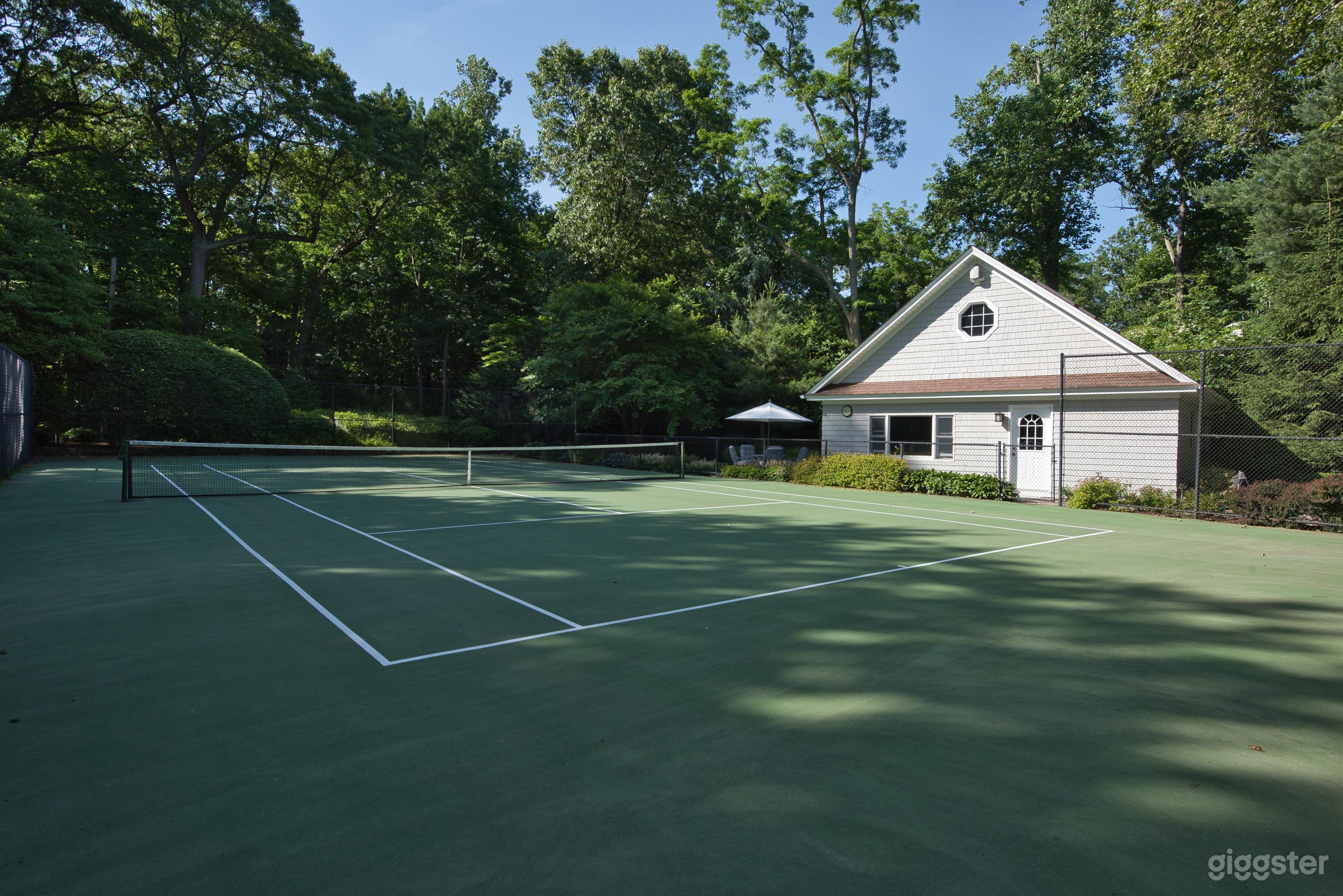 Elegant 1880s Heritage Haven: History, Luxury, Pool &amp; Tennis Court  Photo 3