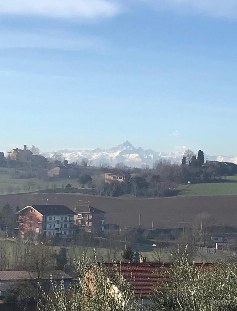  Meraviglioso Giardino di Ulivi pittoresco con vista fantastica sulle Alpi in Italia 