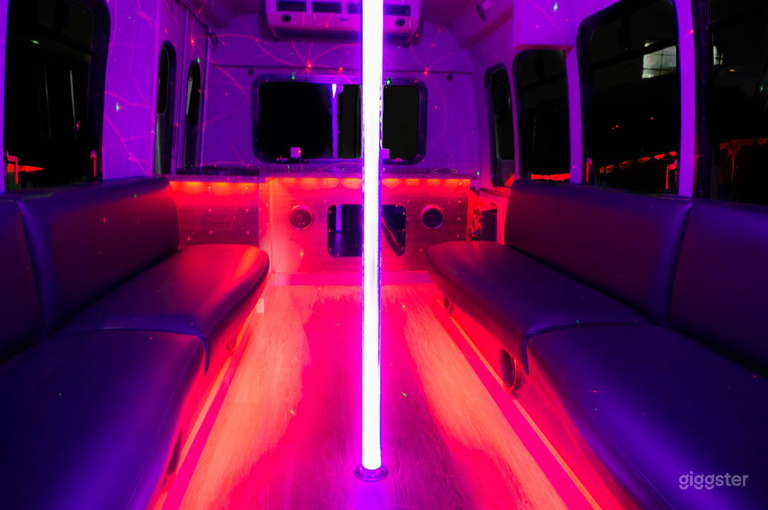  VIP Party Bus "Mini Black Pearl" in Minneapolis 