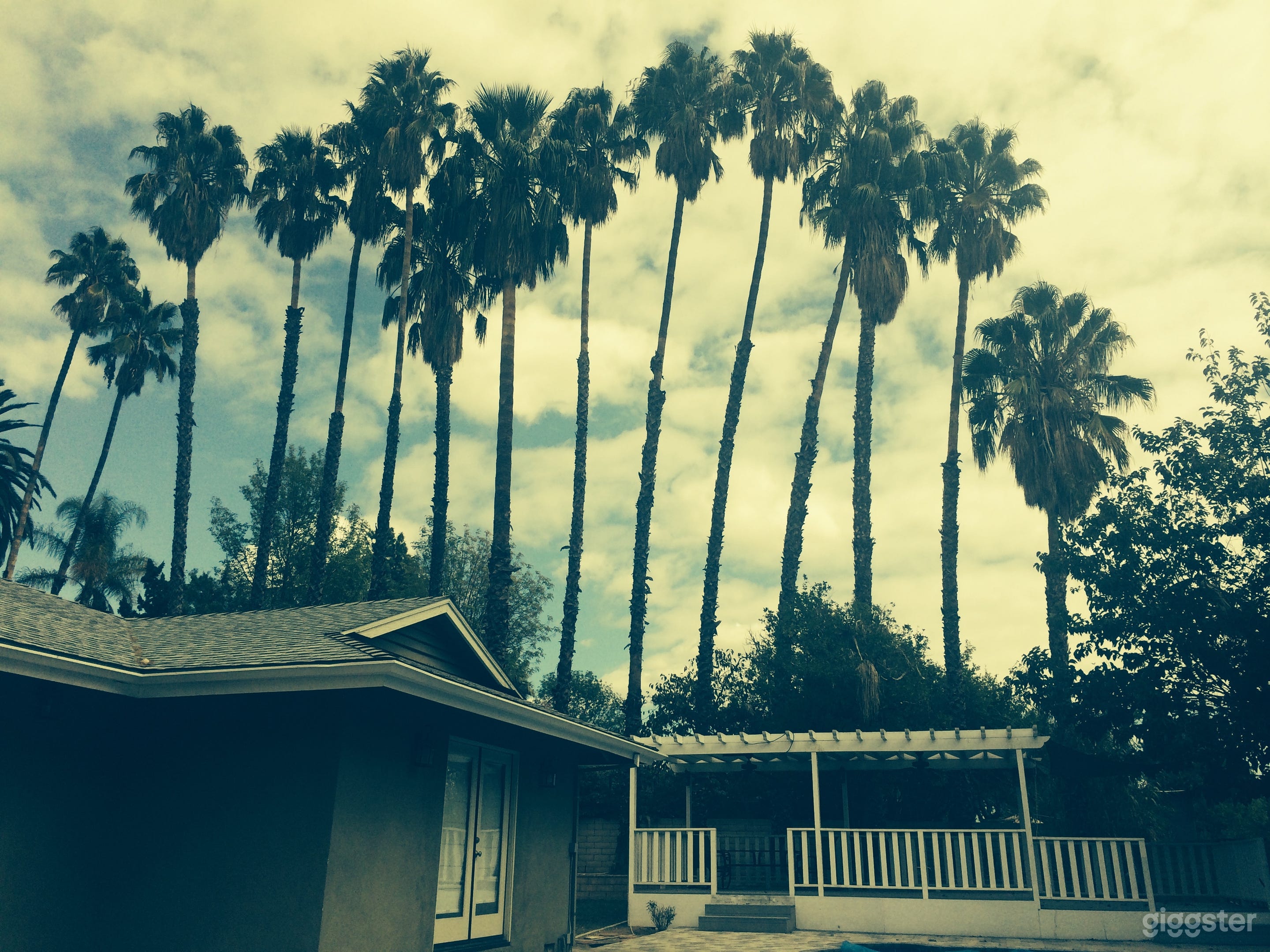 The back Yard has a raised
Covered patio overlooking the pool and lined with 13 palm trees