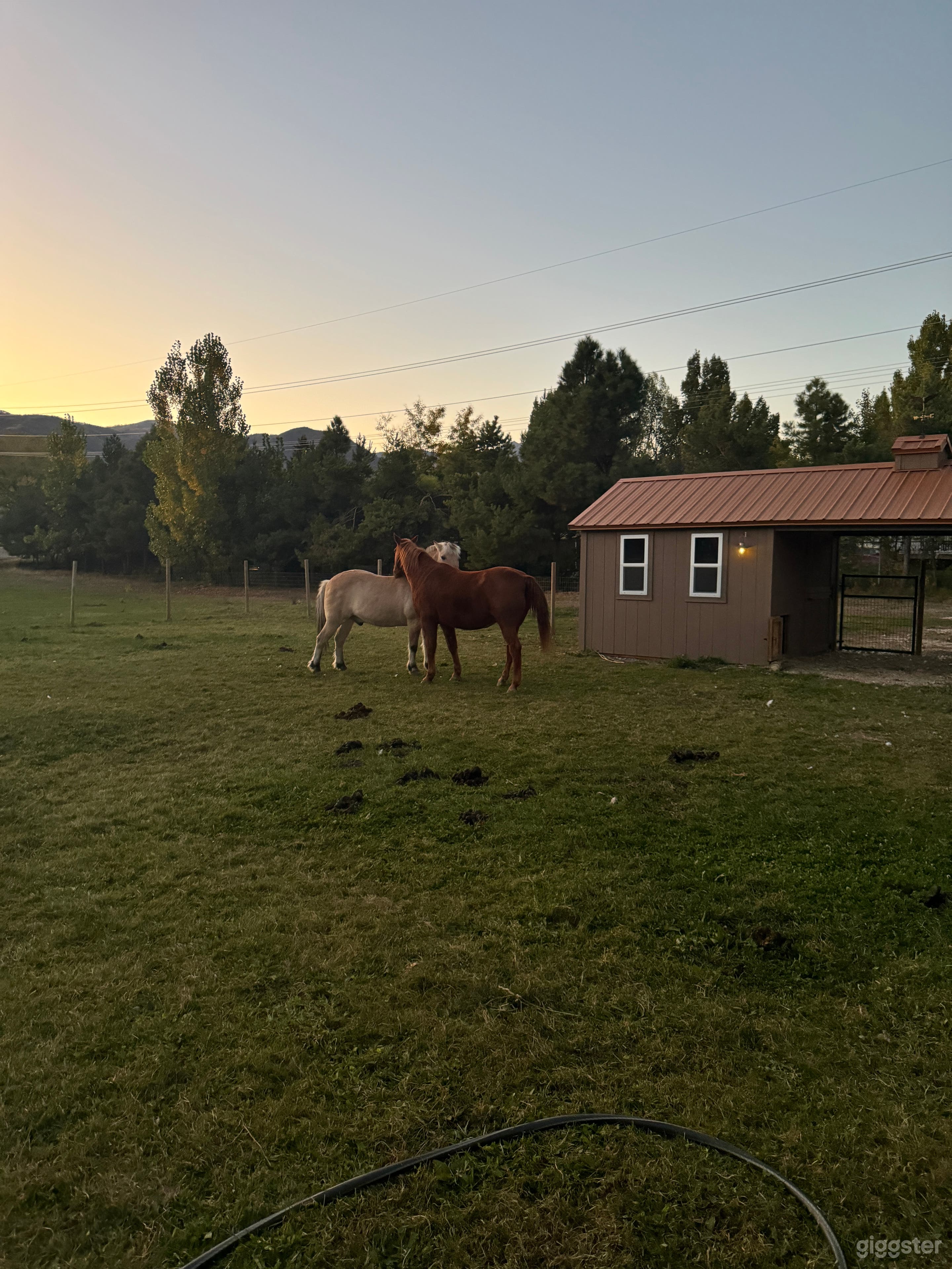 Midway Farm with Scenic Pastures, Pond, and Barn Photo 3