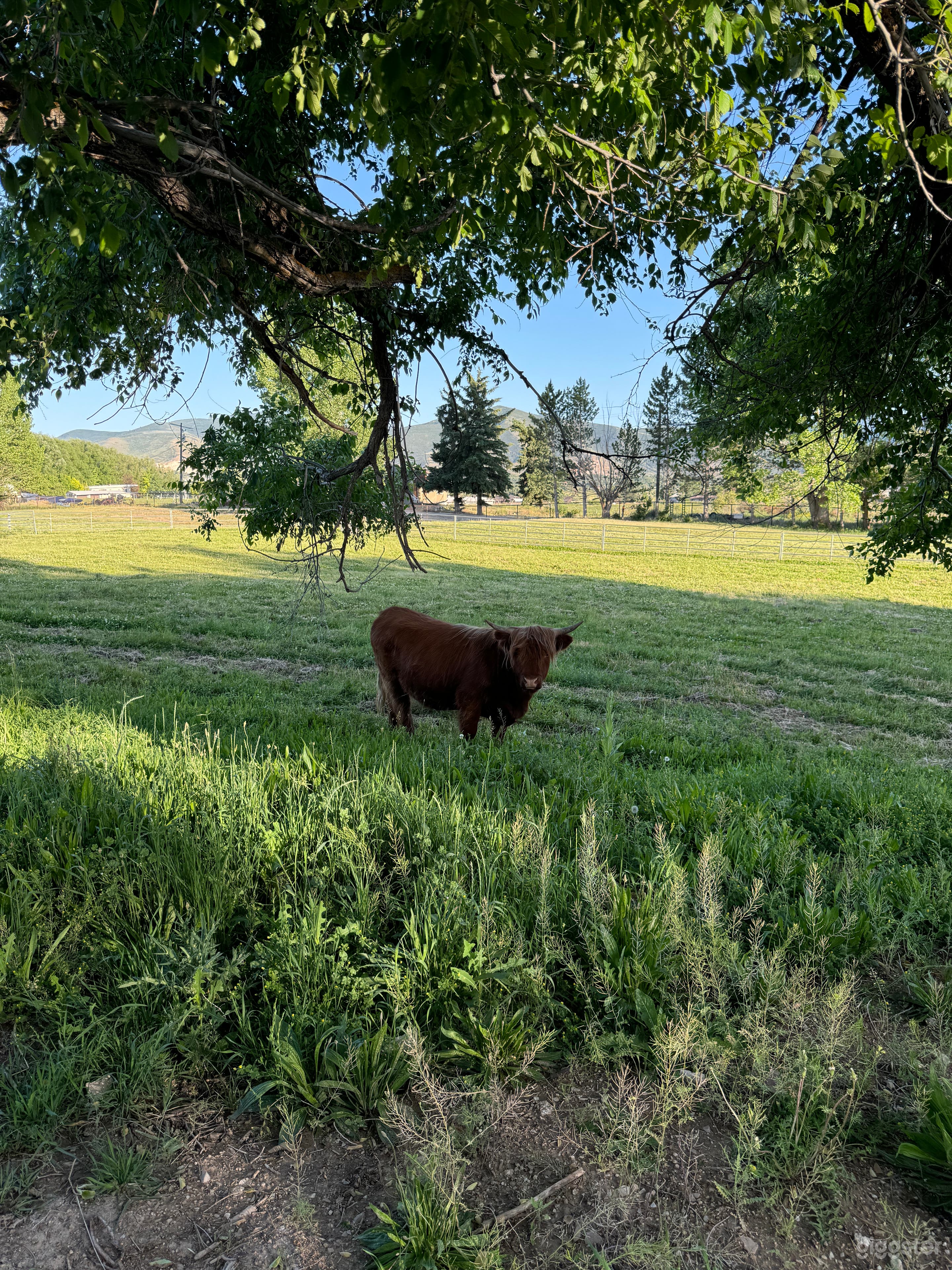 Midway Farm with Scenic Pastures, Pond, and Barn Photo 1