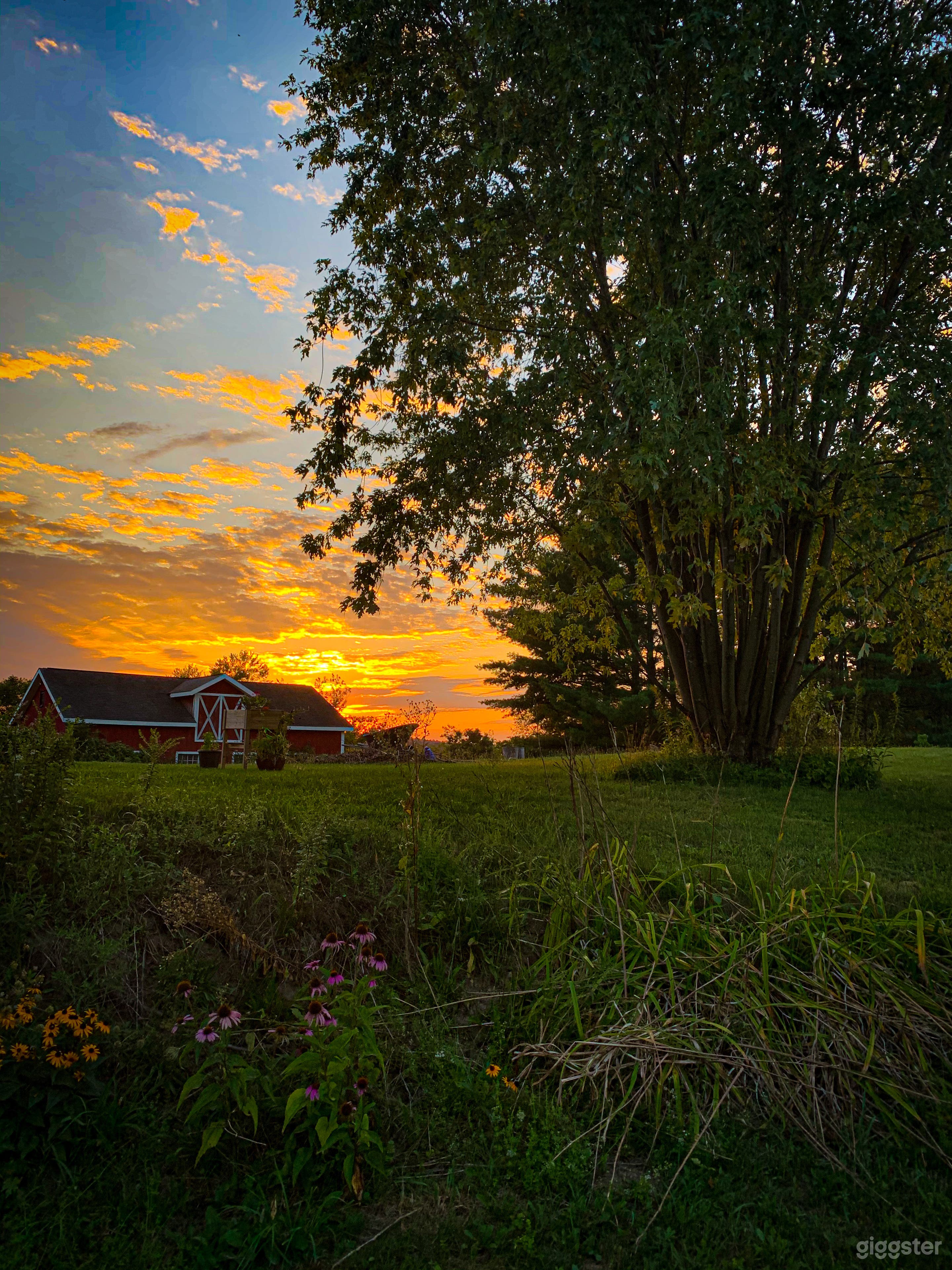Pastoral Farm &amp; Meadows Photo 4