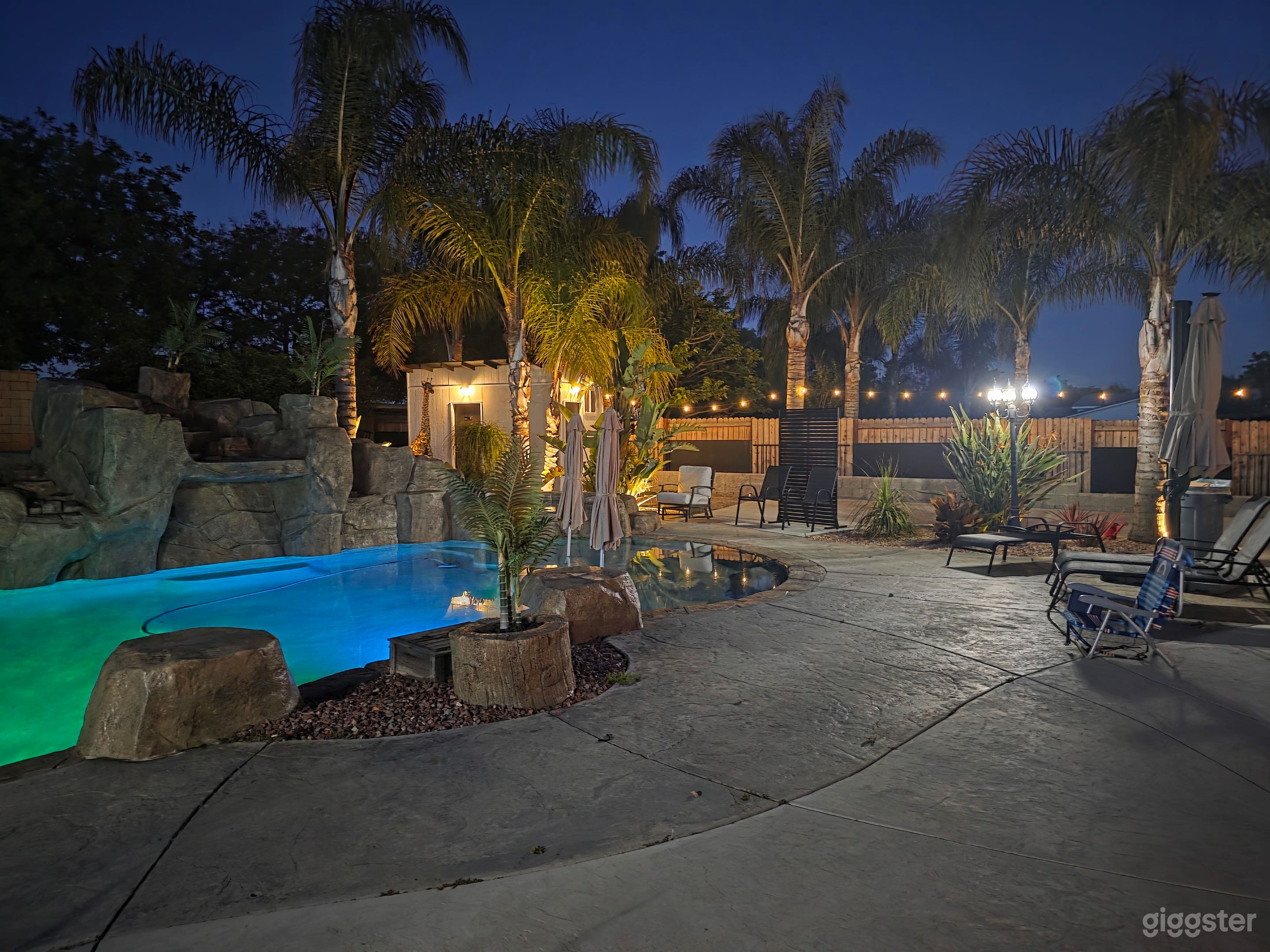 Private Palm pool Retreat. Photo 3