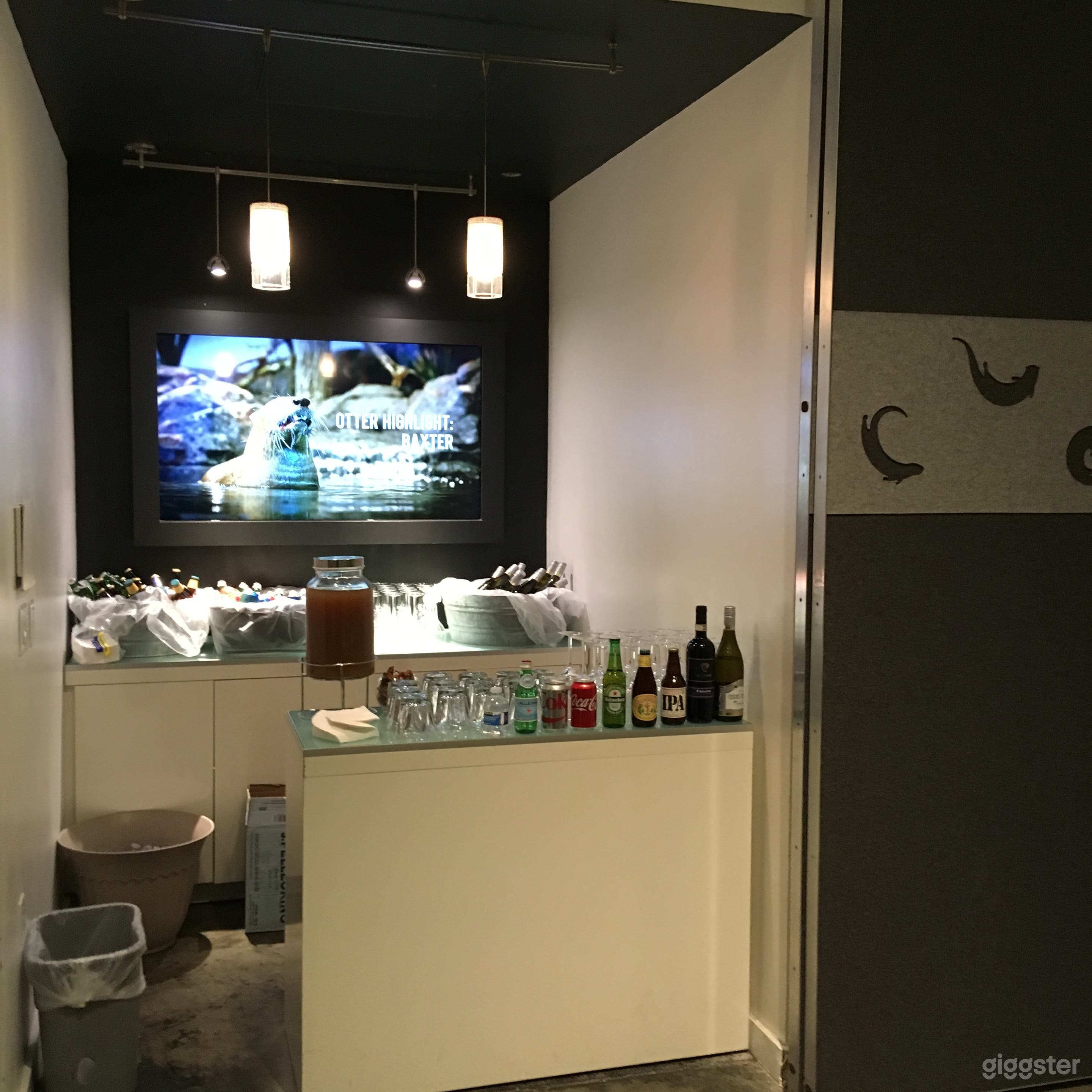 River Otter Exhibit Photo 4