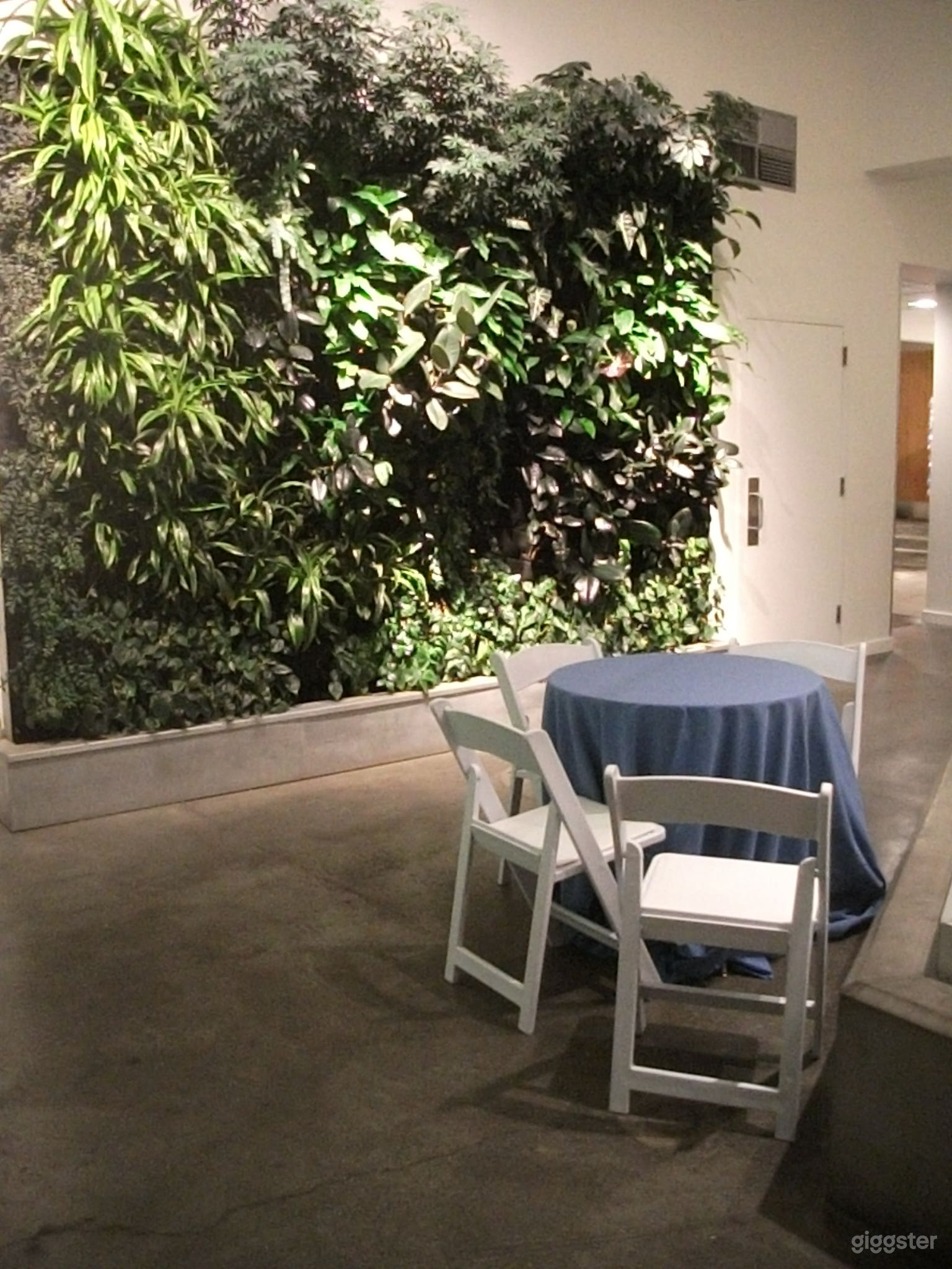 River Otter Exhibit Photo 3