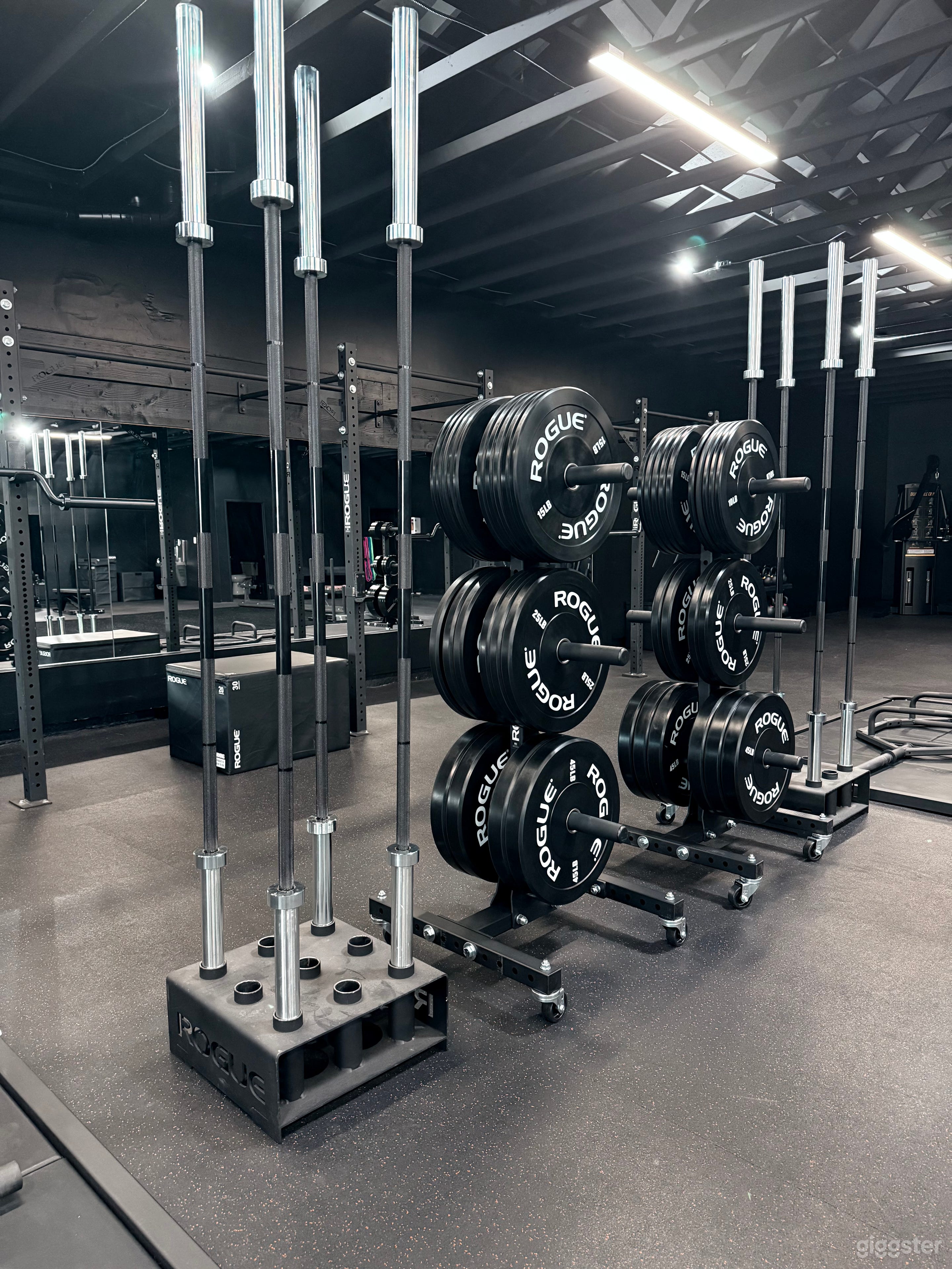 Modern Downtown Gym with Premium Equipment Photo 3