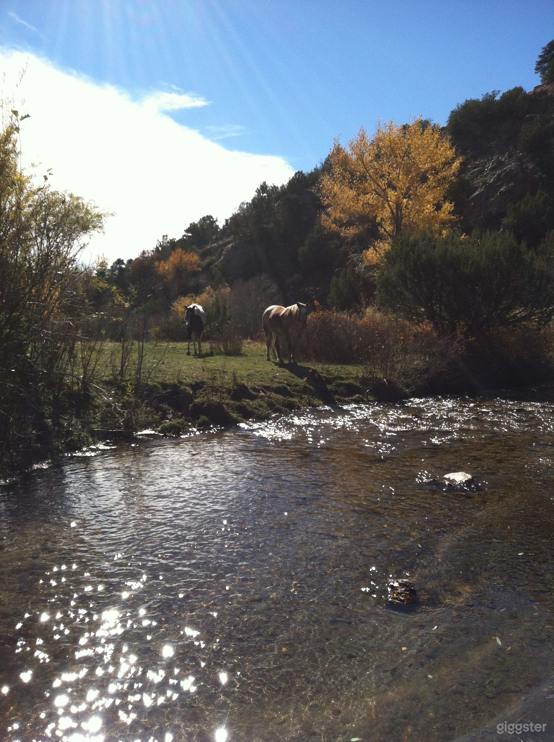 Cundiyo, New Mexico streamside farm with cabin Photo 4