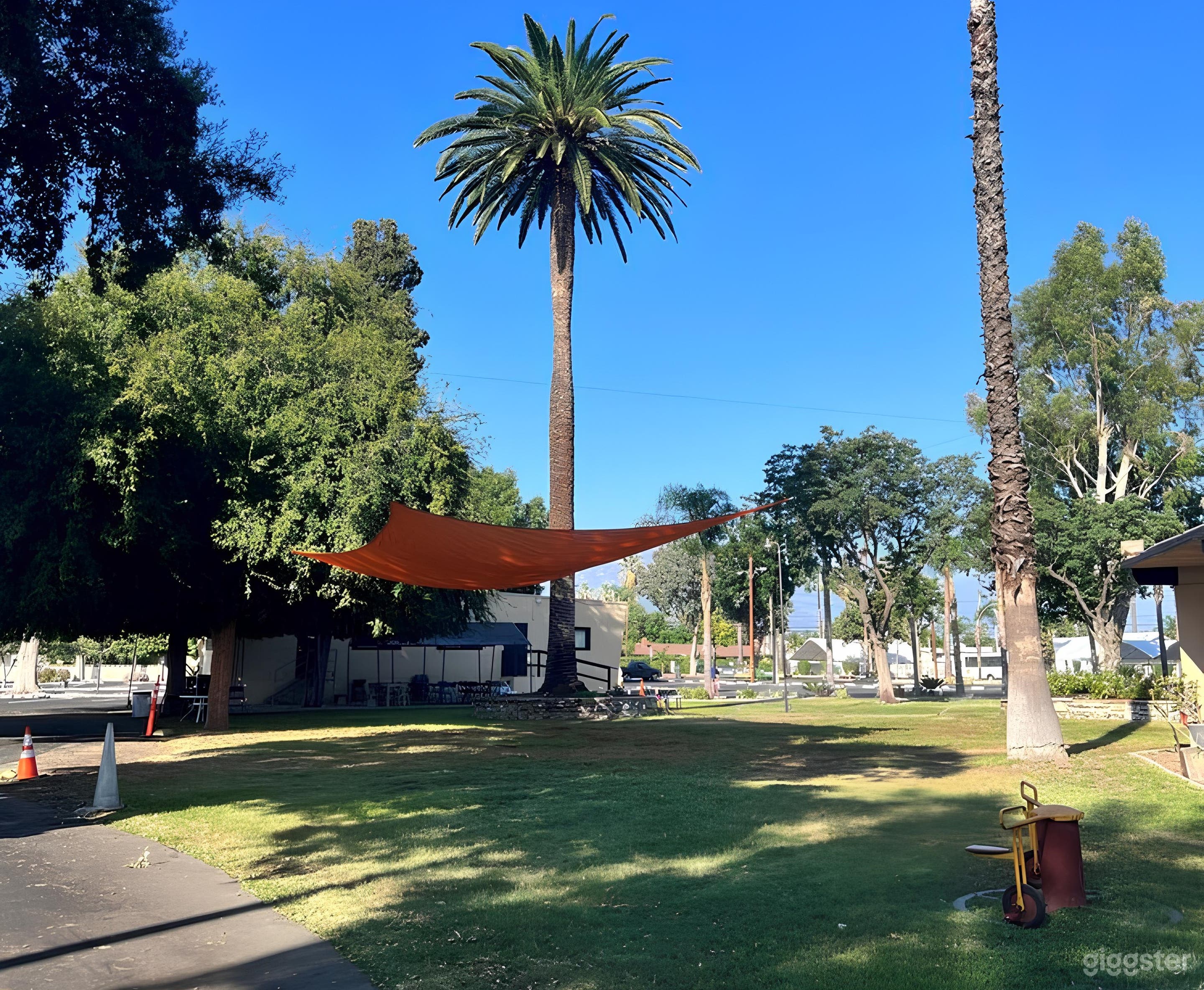  The Gardens: An Enchanted Grove  Photo 1