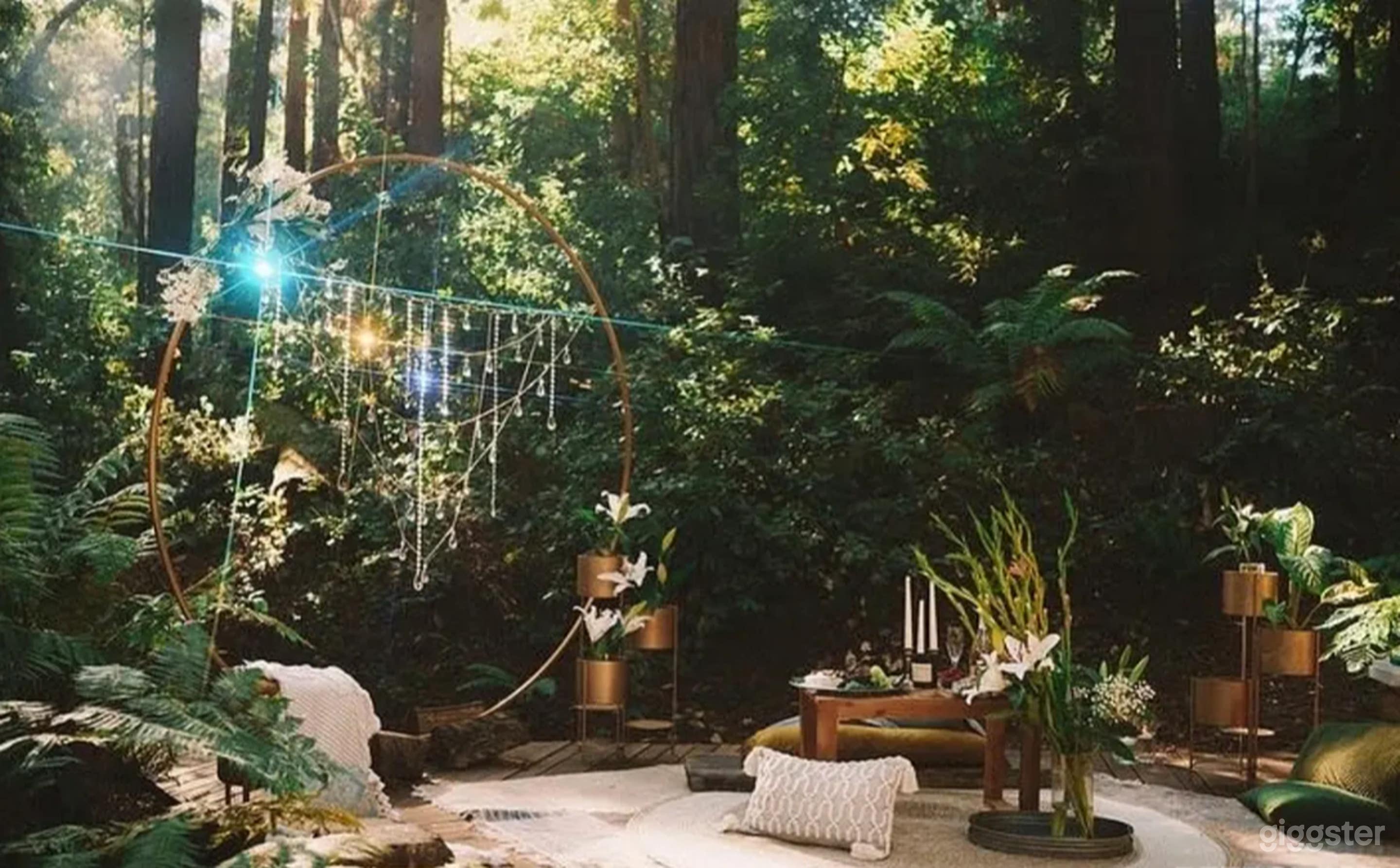 Outdoor & Lifestyle Photoshoot Venue and event space Photo 1