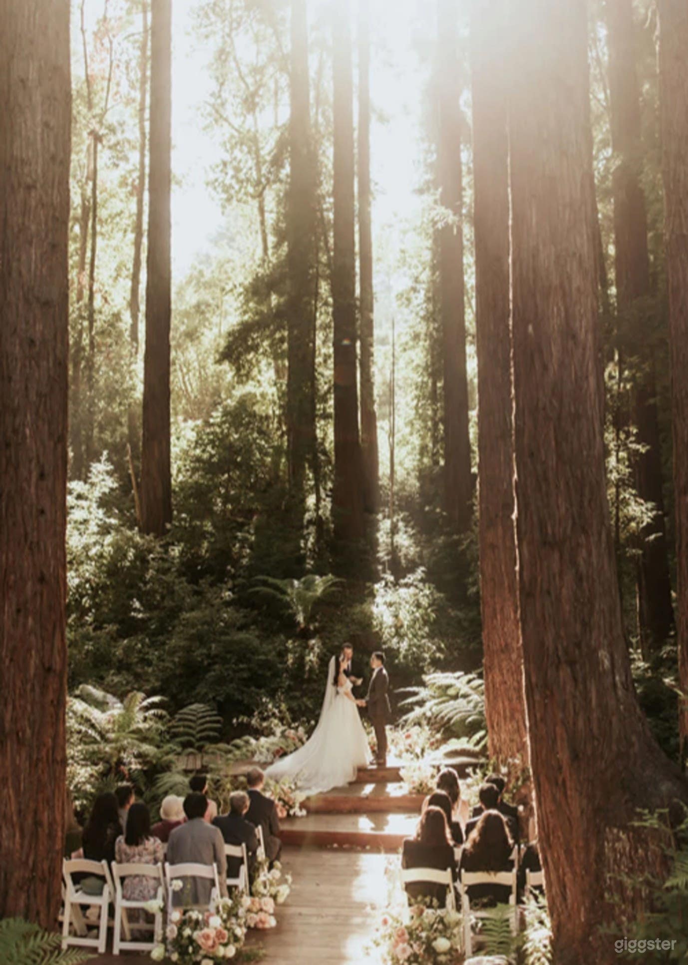 Outdoor & Lifestyle Photoshoot Venue and event space Photo 4