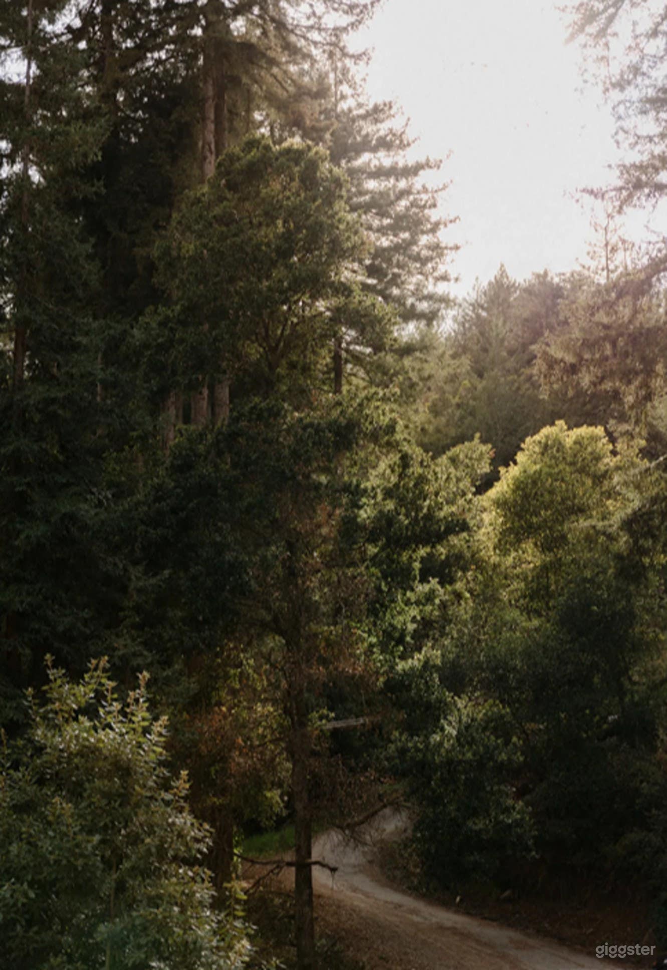 Outdoor & Lifestyle Photoshoot Venue and event space Photo 3