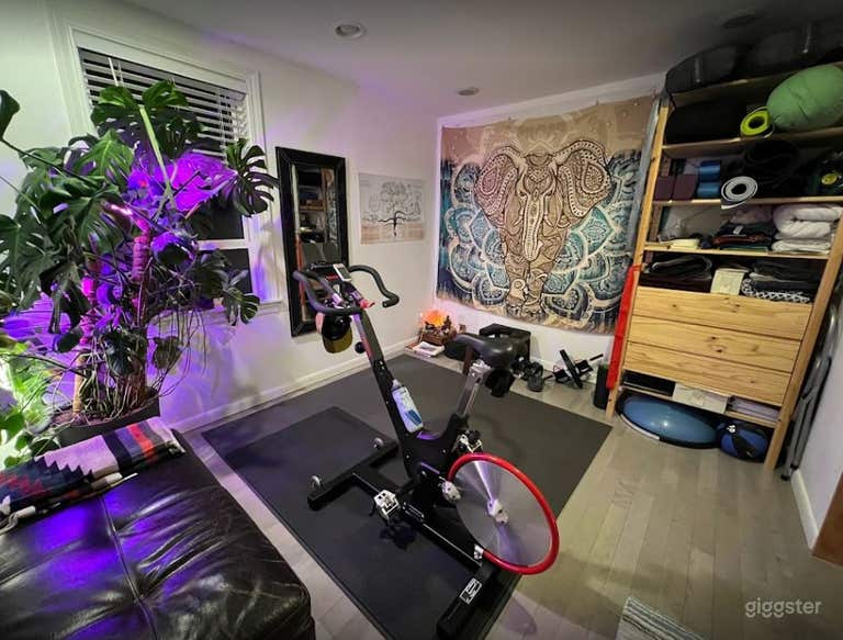  Mid-Century Modern Home with Yoga Room 