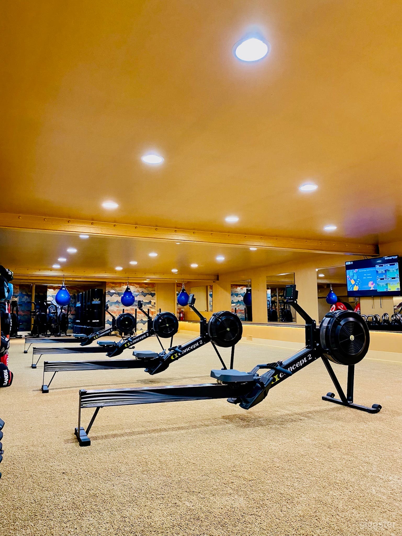 5 rowers can be moved for completely open floor plan.  Entire downstairs studio floor is turf.