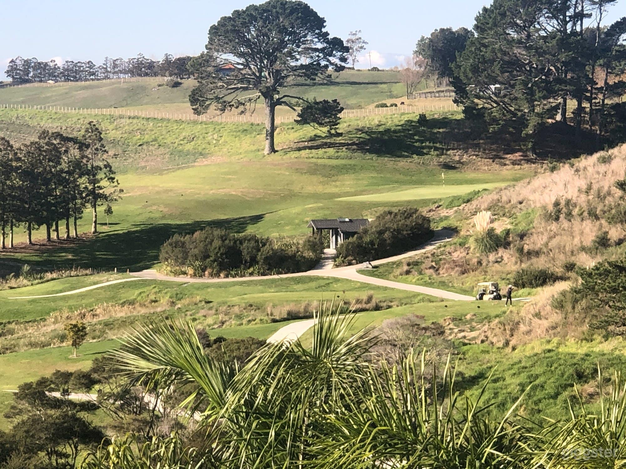 Cedar lodge in native bush on a golf course boundary Photo 3