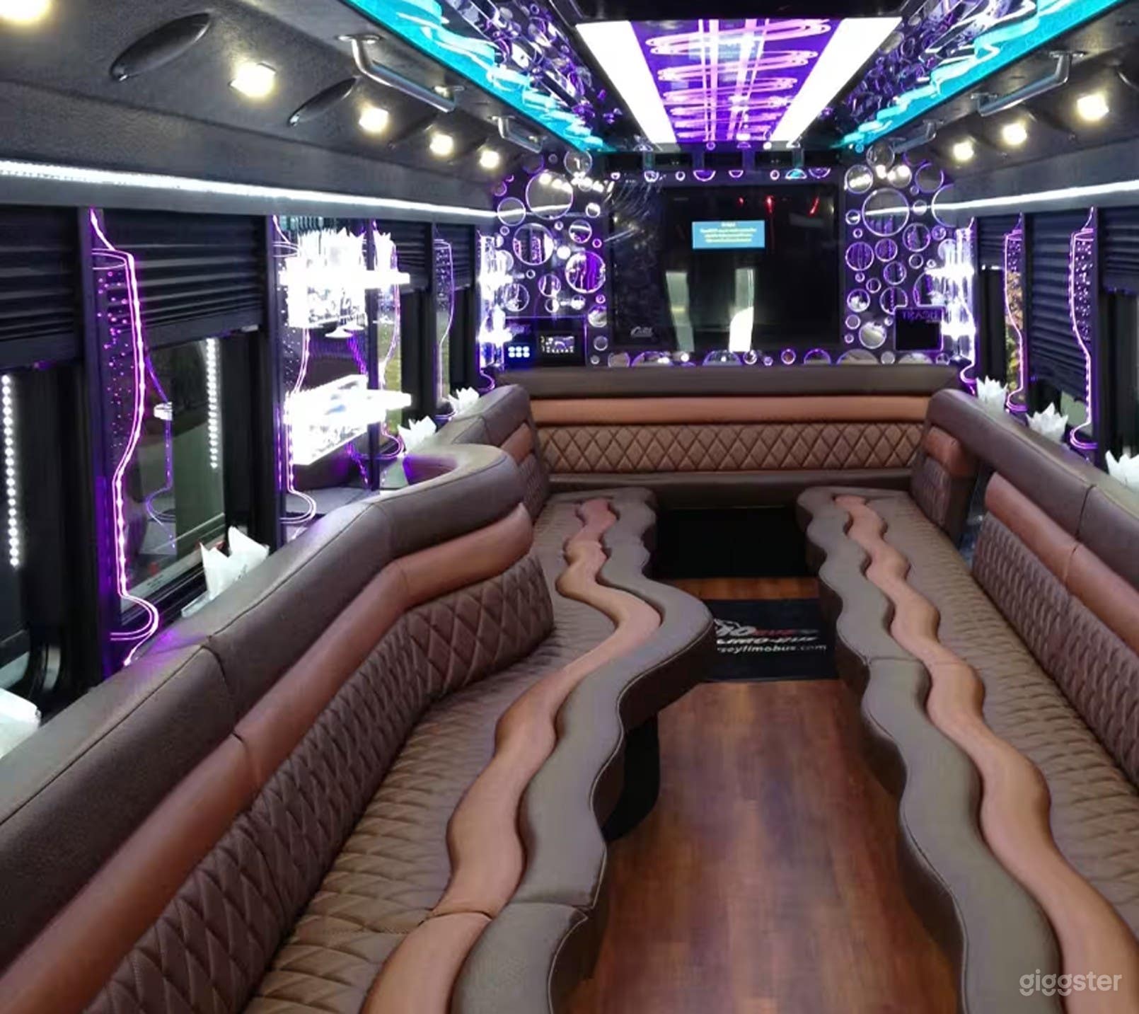 Modern 24 Passenger Party Bus Photo 2