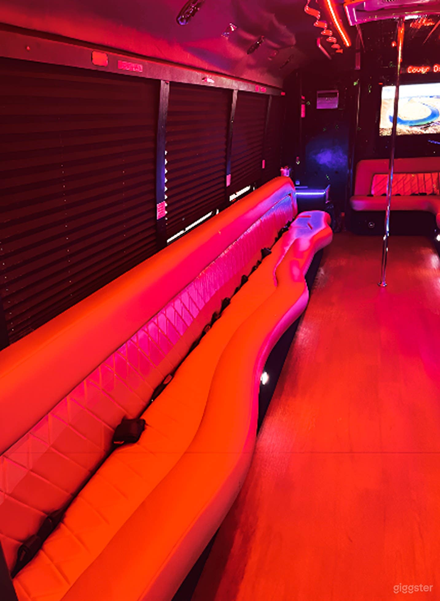 Modern 24 Passenger Party Bus Photo 3