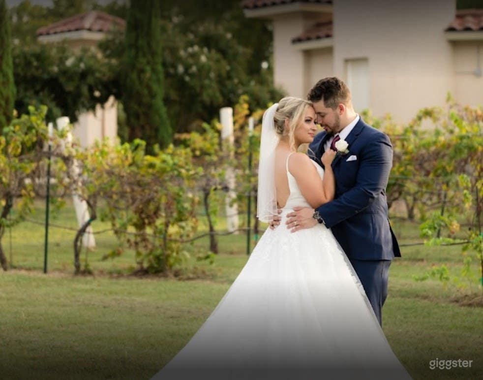 Large and Bright Vineyard and Grounds  Photo 3