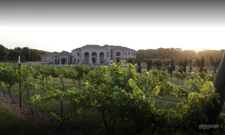  Large and Bright Vineyard and Grounds  