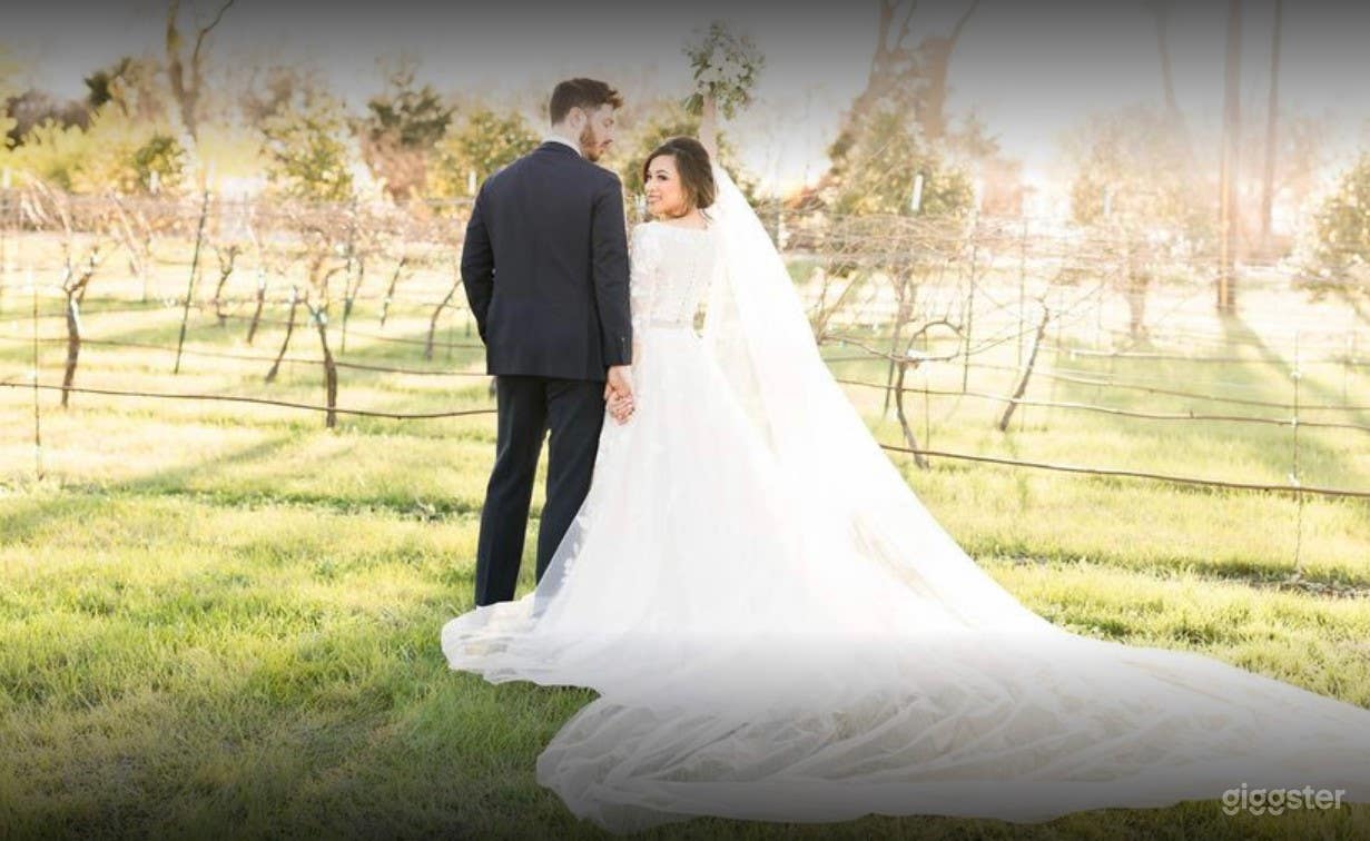 Large and Bright Vineyard and Grounds  Photo 2