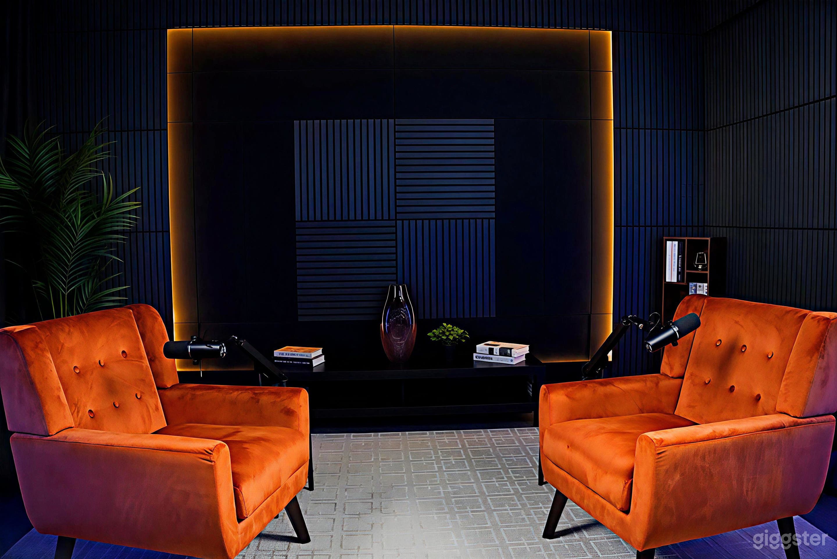 Flexible Podcast & Video Studio in Toronto Photo 3