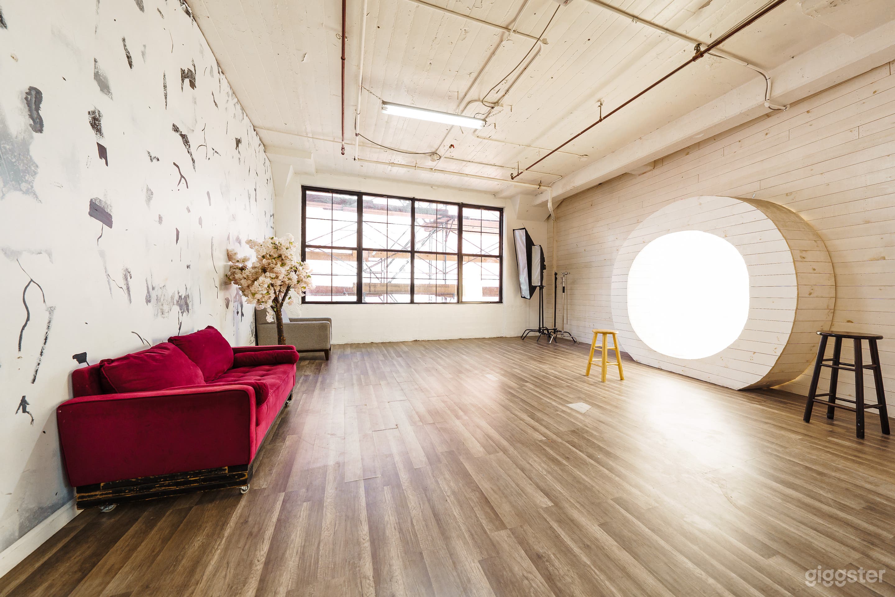 Studio with Art wall Photo 1