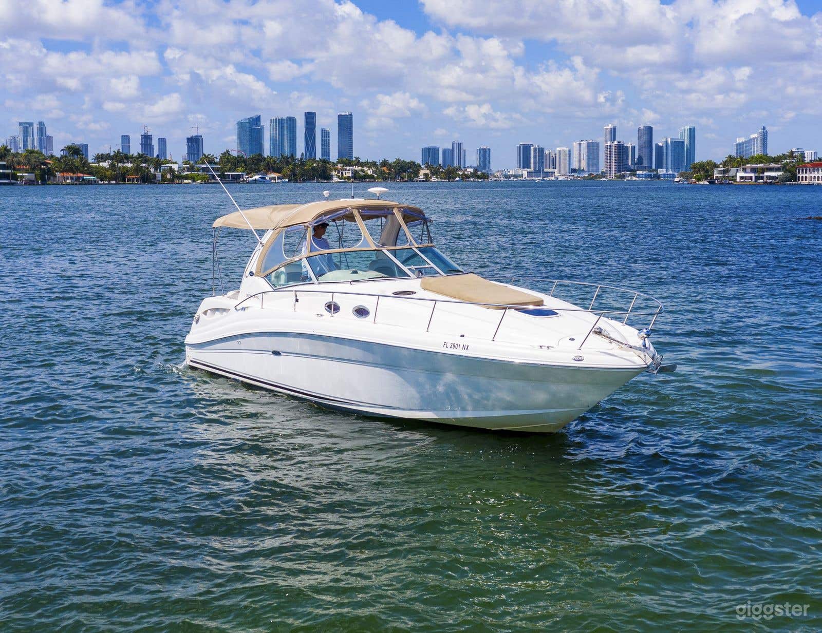 Budget Friendly Vessel 34' Sea Ray  Photo 4