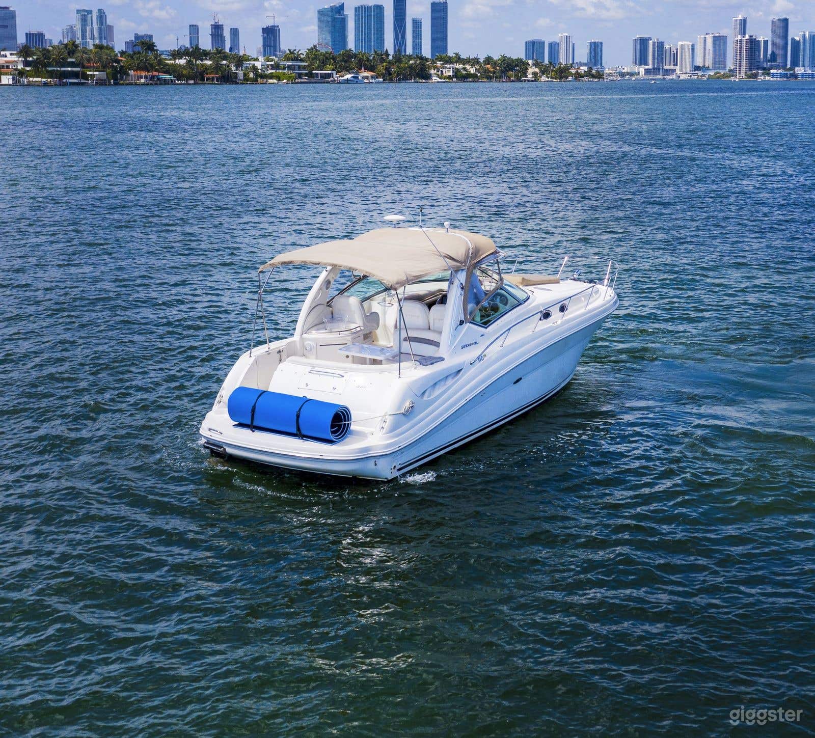Budget Friendly Vessel 34' Sea Ray  Photo 3
