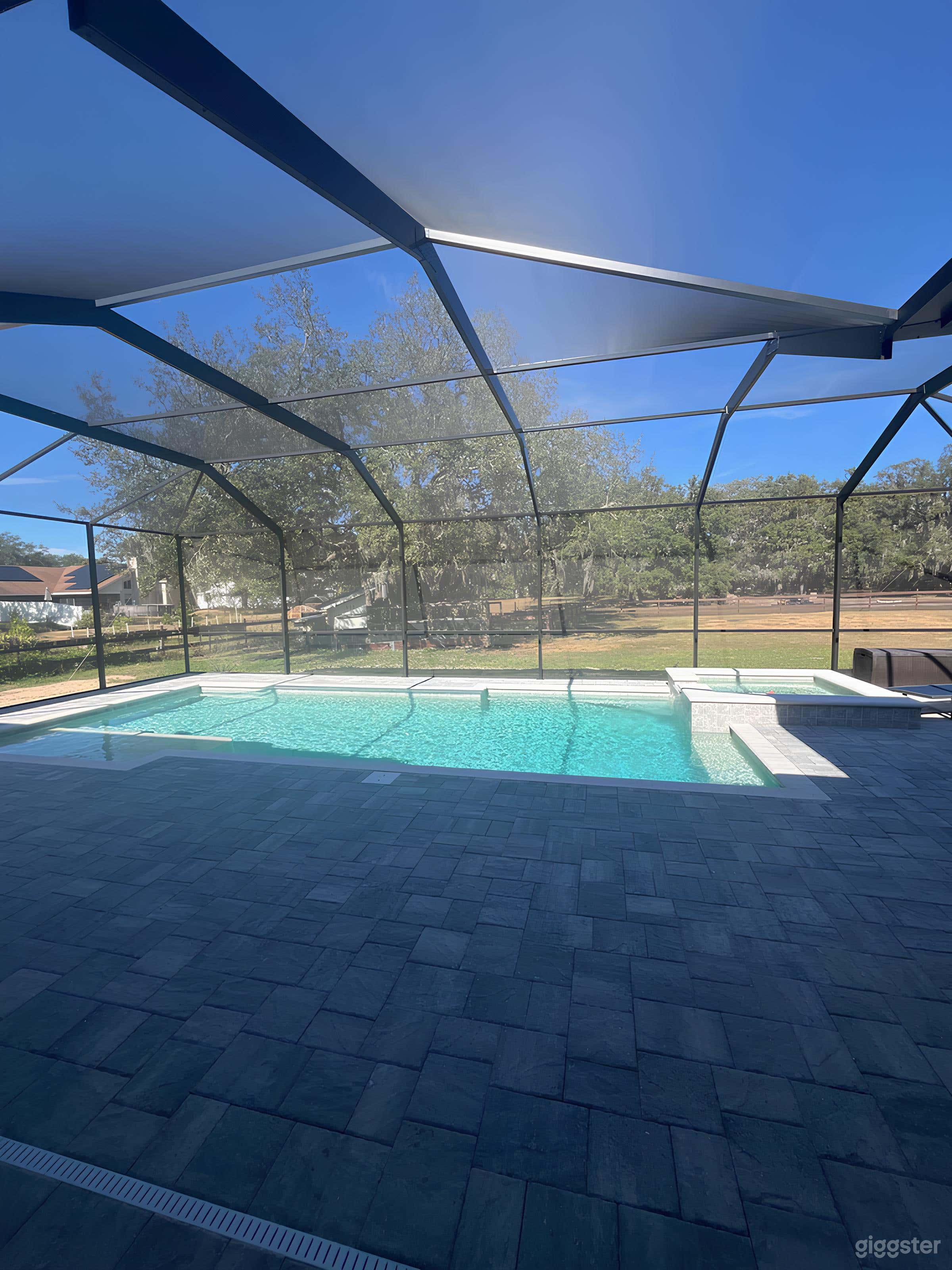 Serene, Inviting Pool Oasis in Valrico Photo 1