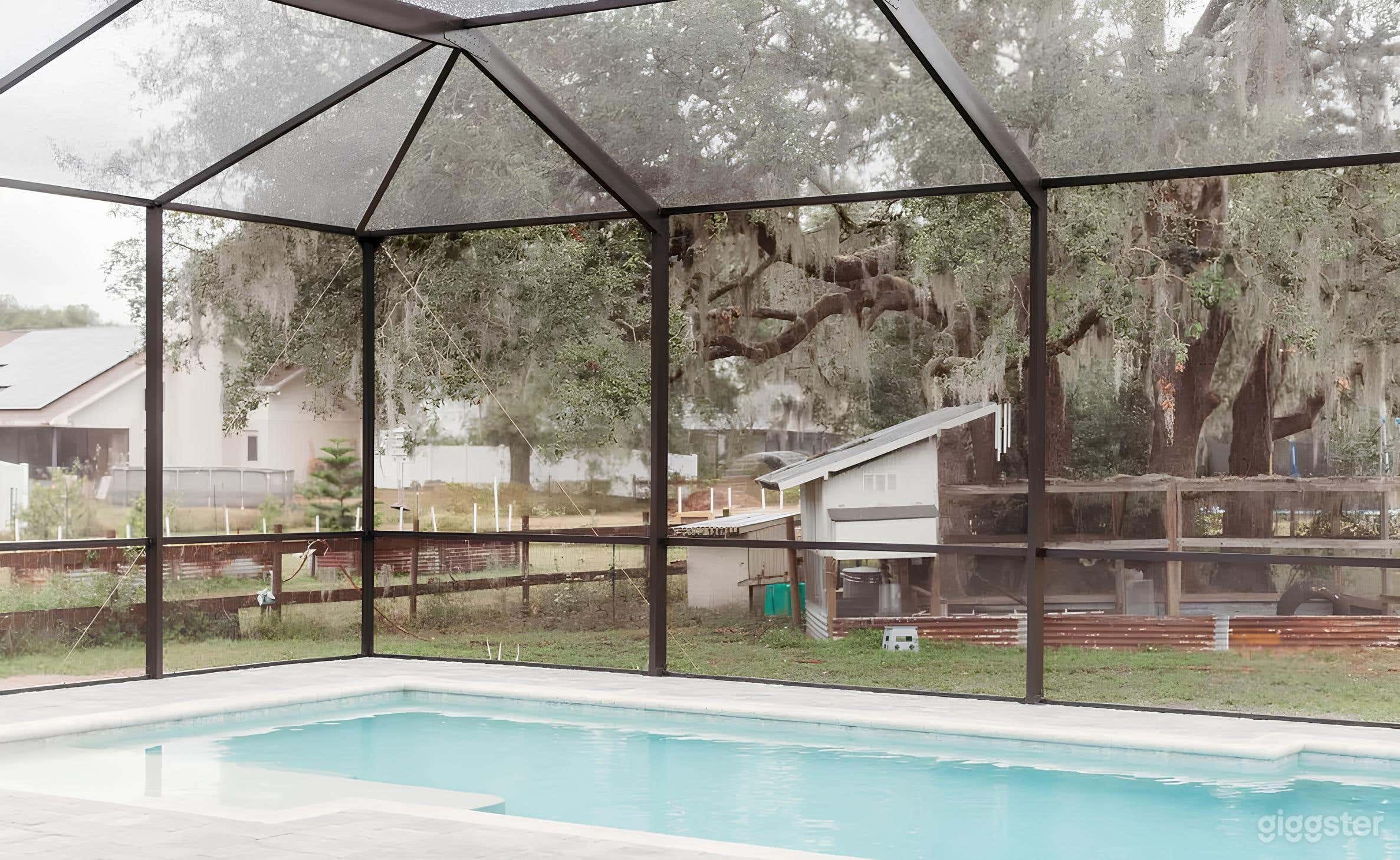Serene, Inviting Pool Oasis in Valrico Photo 4