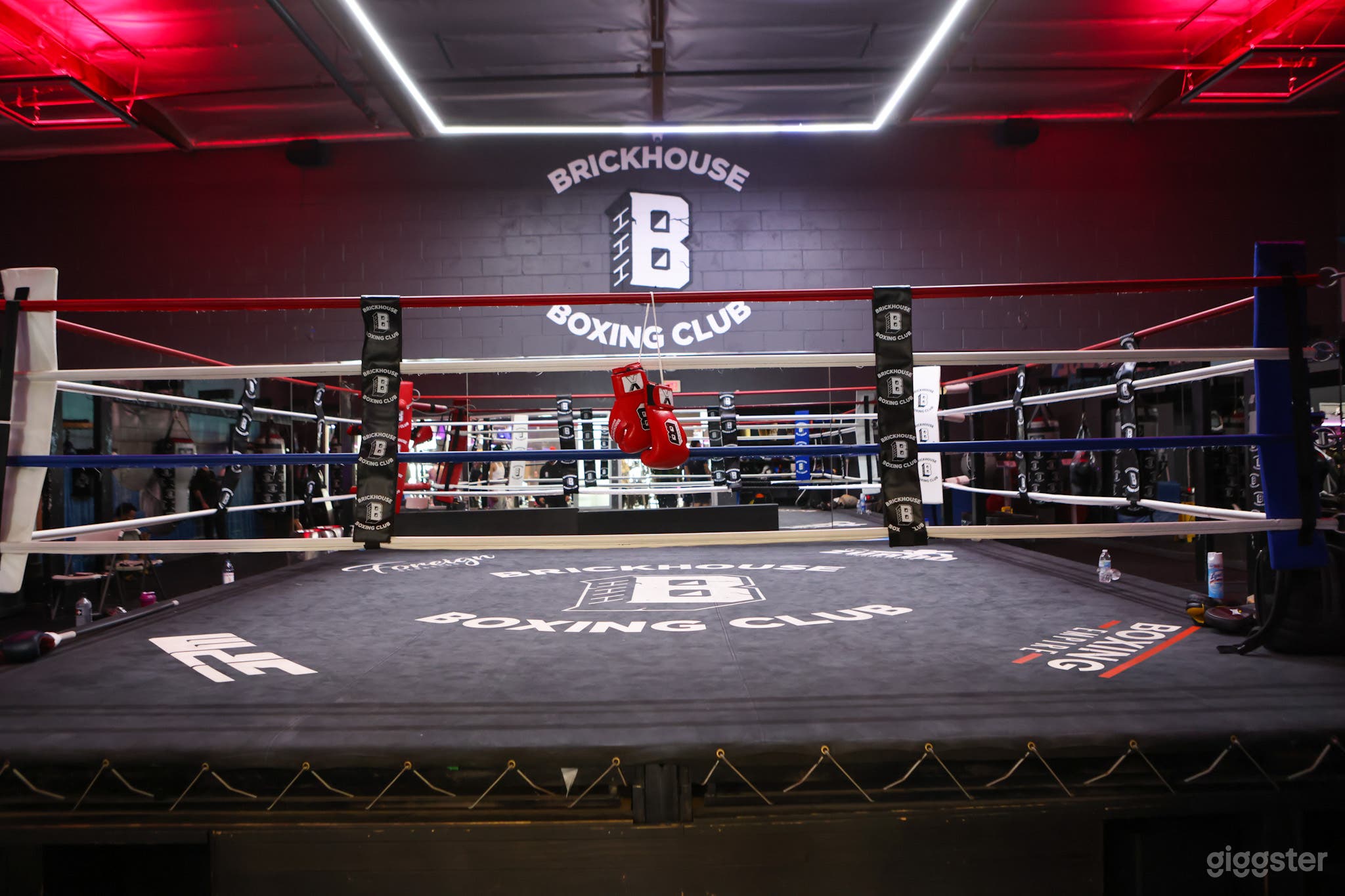PRO BOXING GYM &amp; ELITE PERFORMANCE CENTER  Photo 1