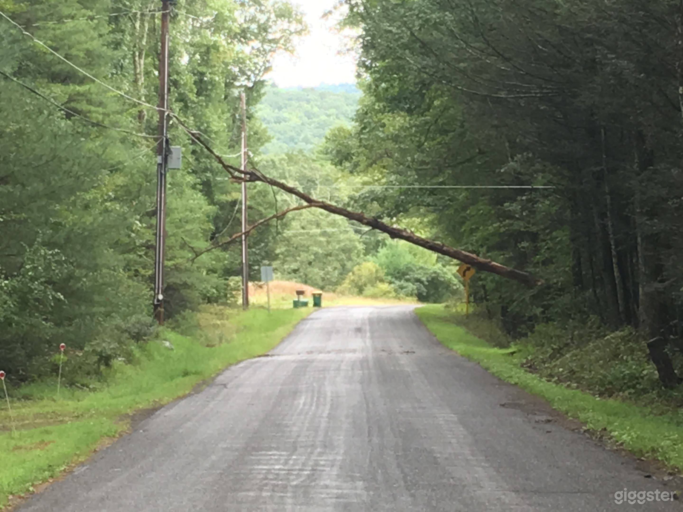 Road in front of the house after a recent storm.