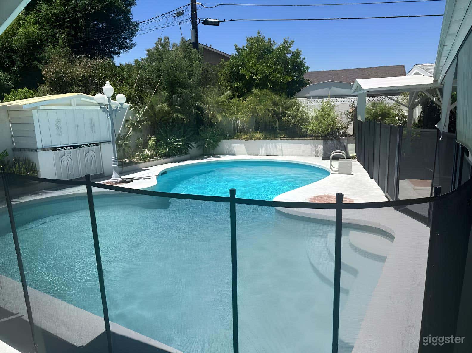 Exotic Salt Water Pool Paradise Photo 2