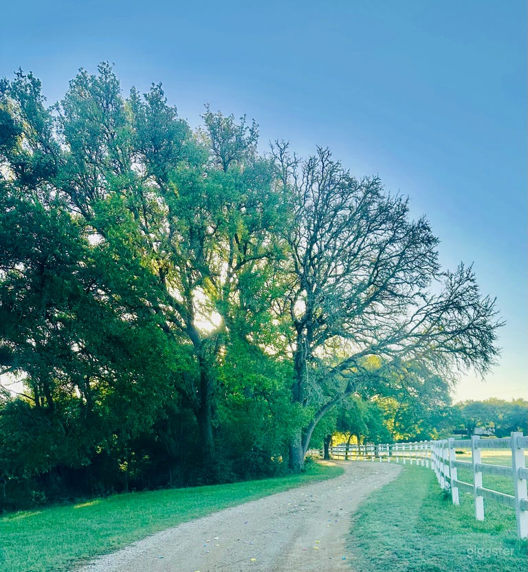  Historic 1800’s  Log Cabin & Private Horse Farm 