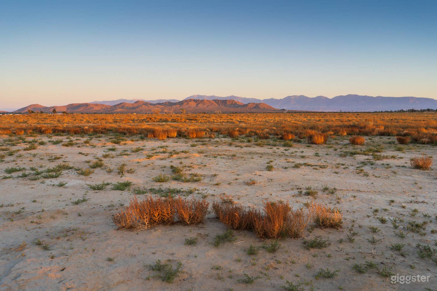 View from the middle of property as well as the parking lot 
