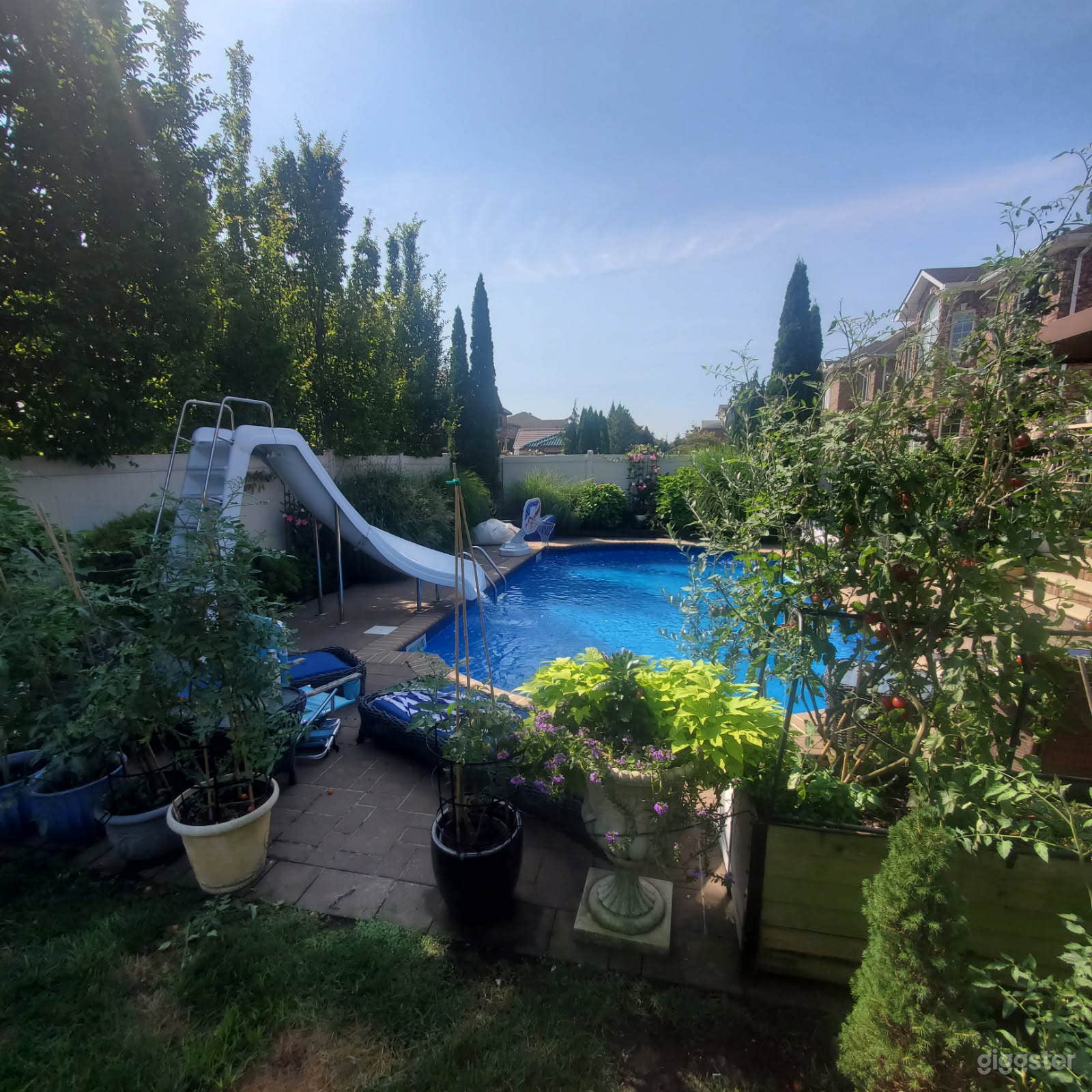 Backyard pool looking south