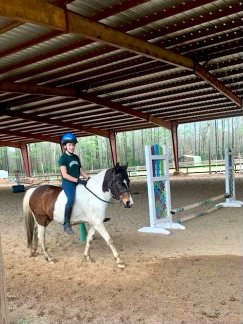 The Covered Riding Arena Photo 3