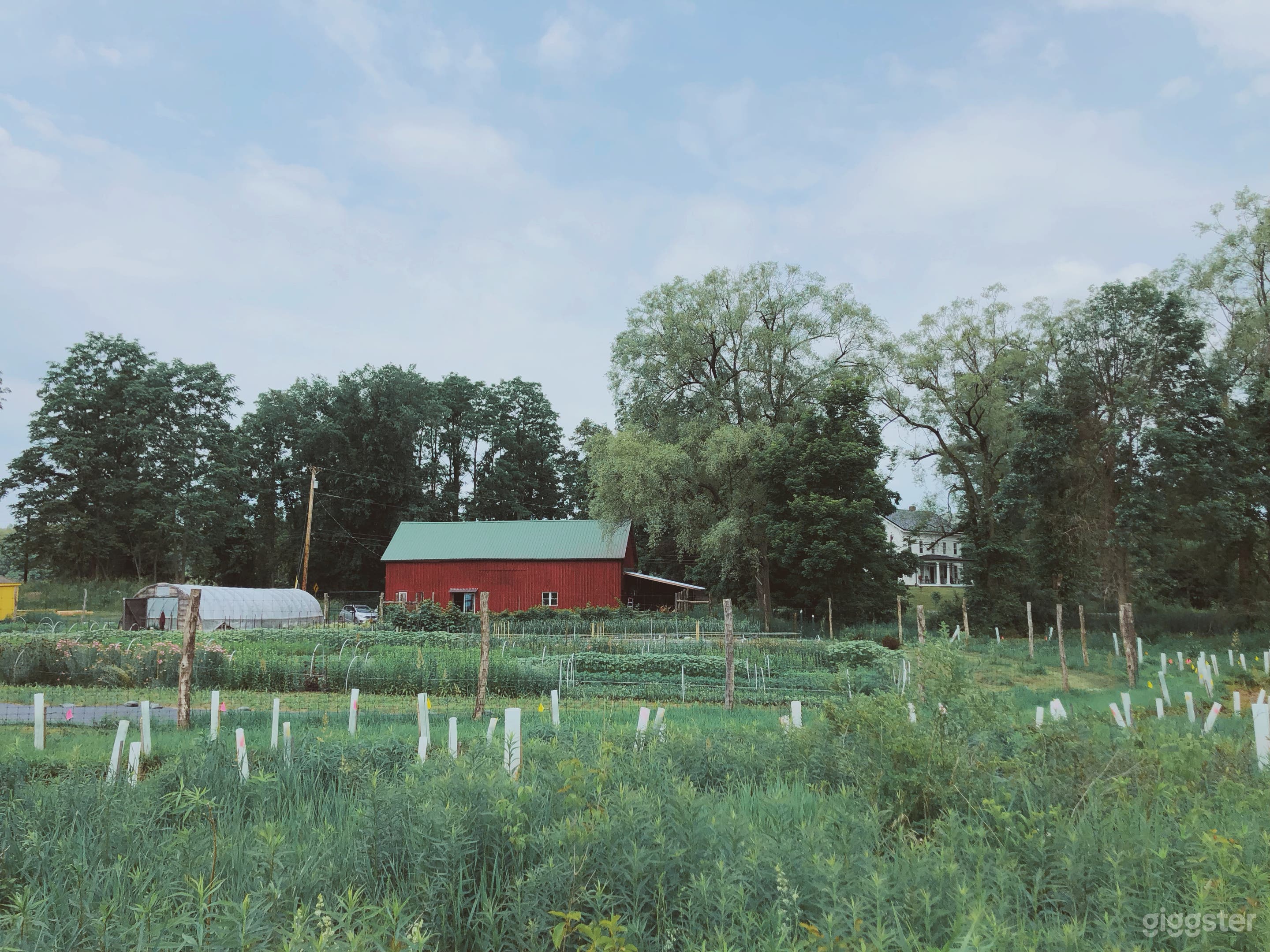 Rustic Flower Farm Amidst 641-Acre Bird Sanctuary Photo 1