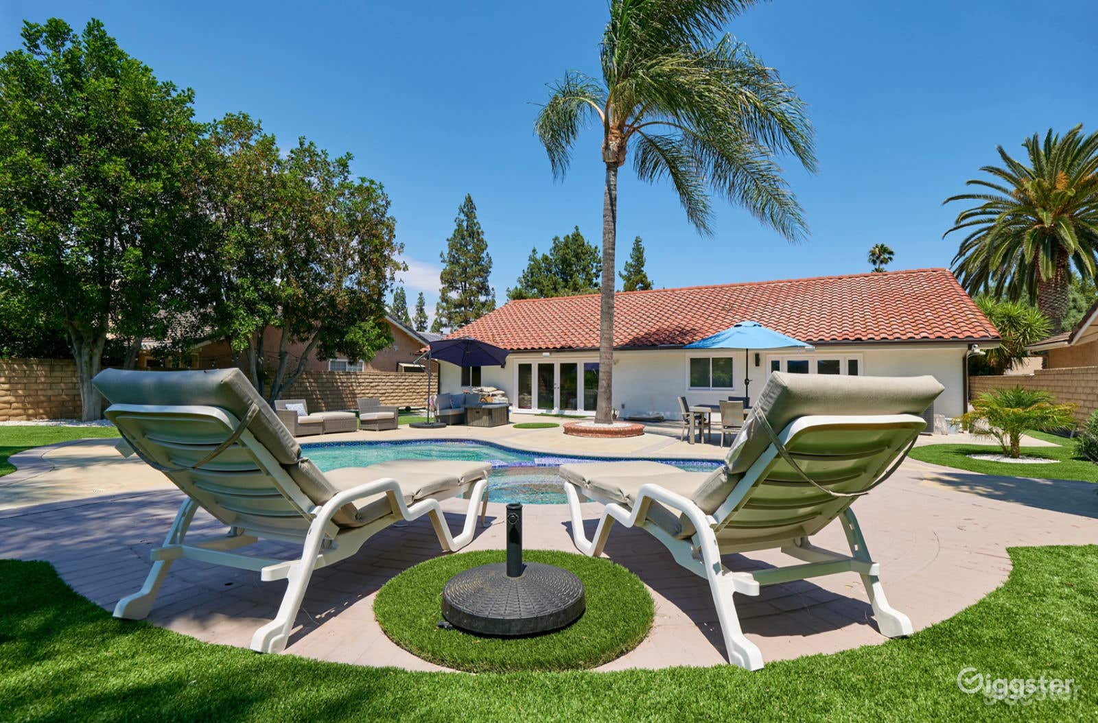 Huge Landscaped Backyard with Pool Photo 3