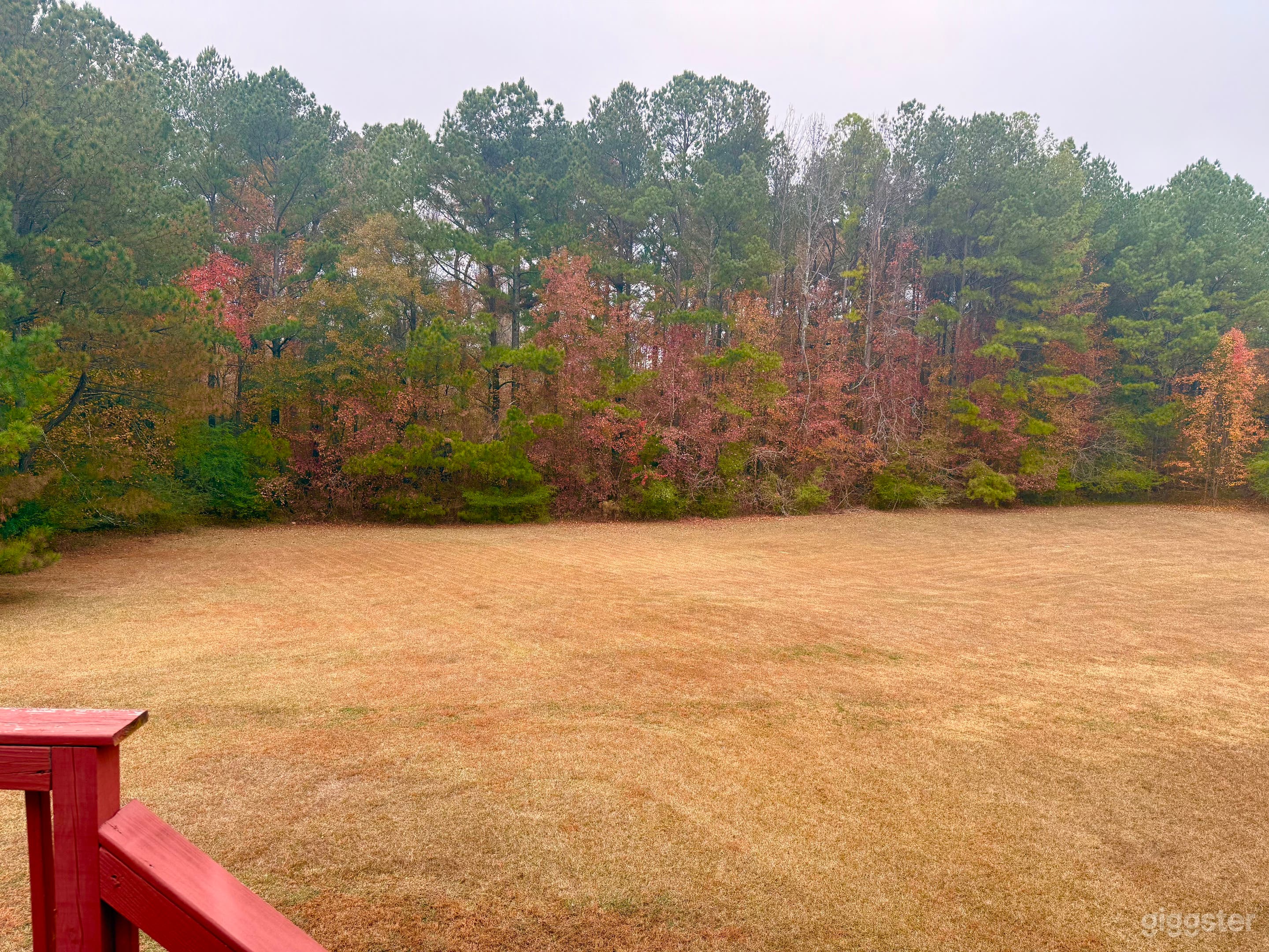 Quiet Forest-Edge Backyard Photo 3