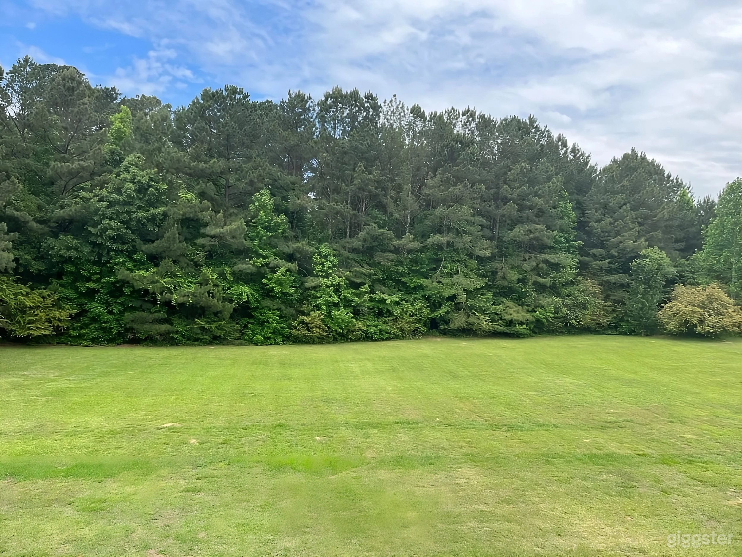 Quiet Forest-Edge Backyard Photo 1