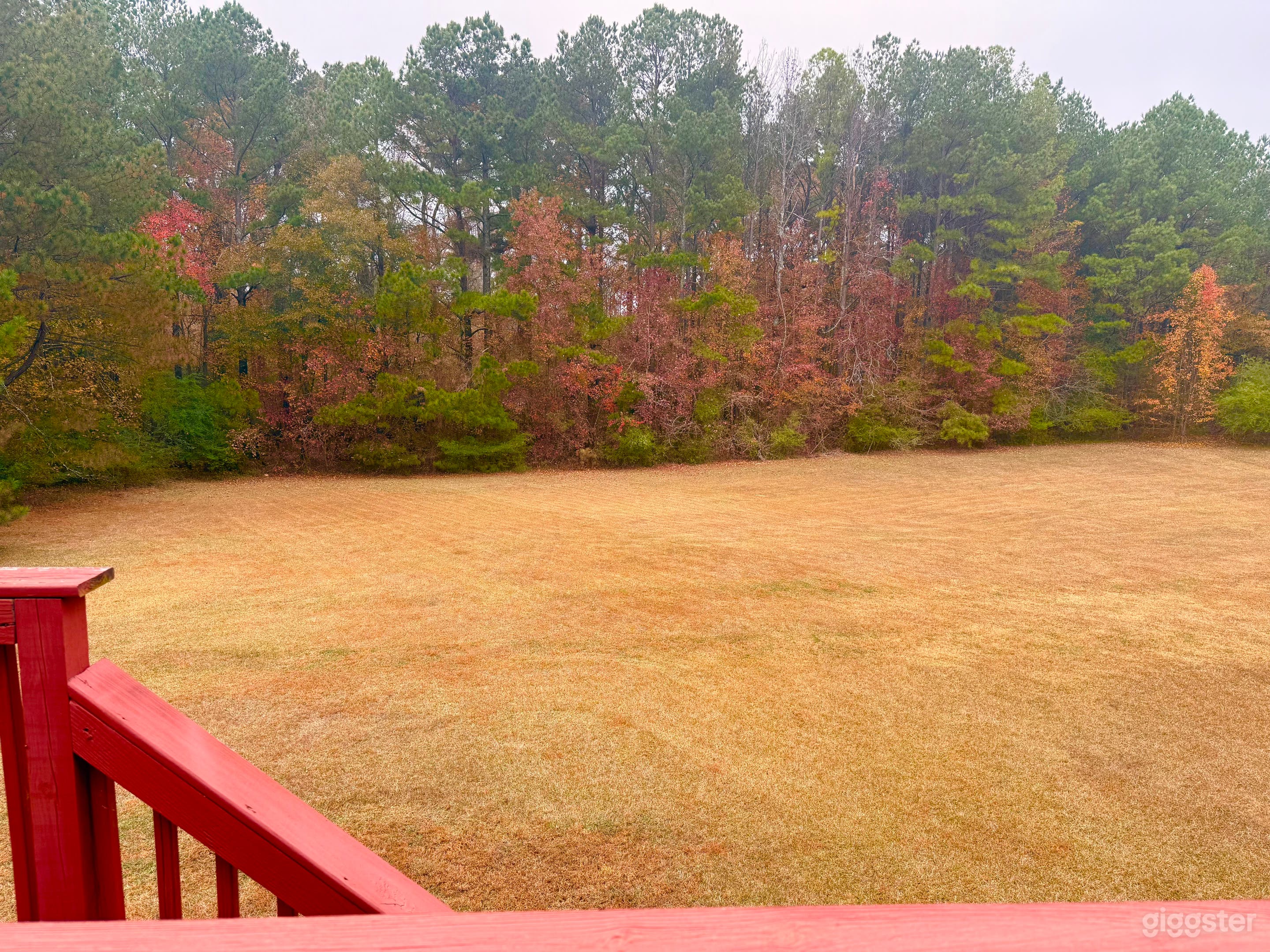 Quiet Forest-Edge Backyard Photo 2