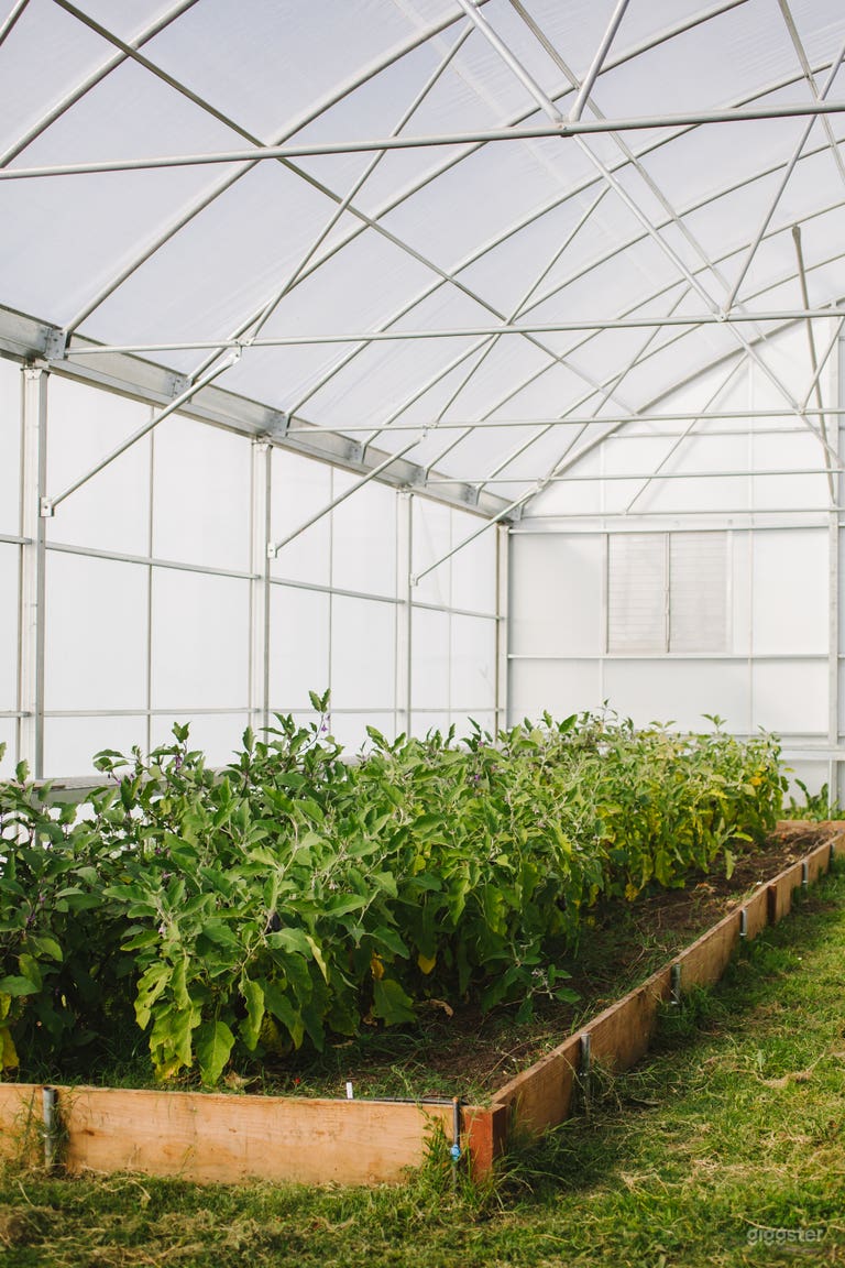  Rustic Barn & Organic Flower Farm 