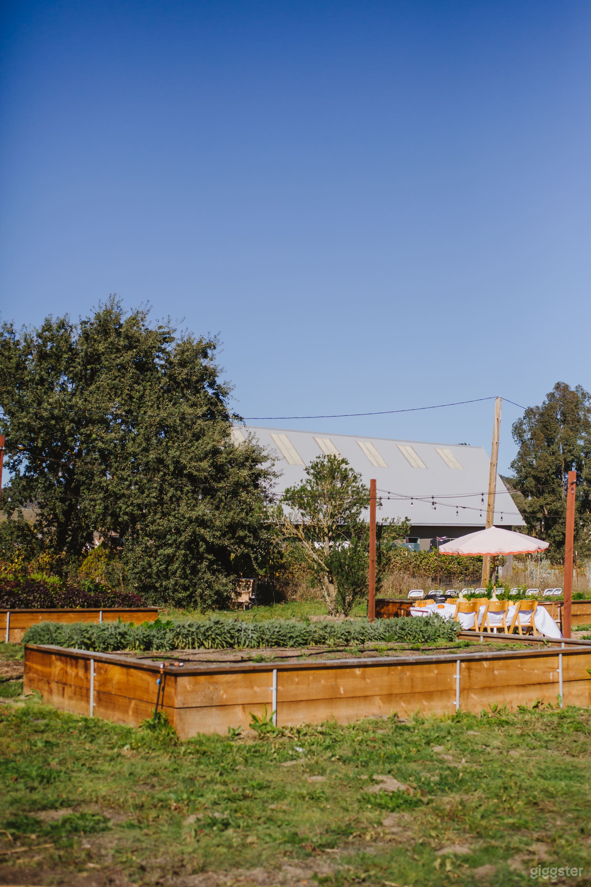 Rustic Barn &amp; Organic Flower Farm Photo 2