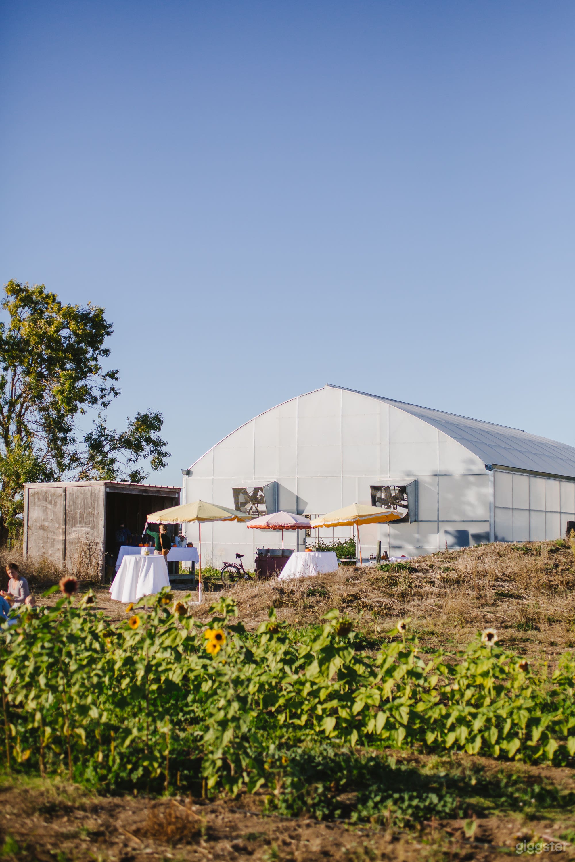 Rustic Barn &amp; Organic Flower Farm Photo 1